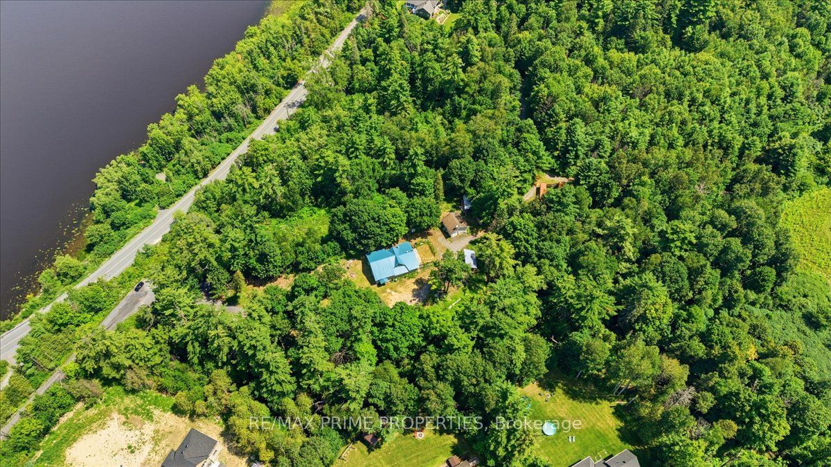 517 Wilson Road Property Photo 3