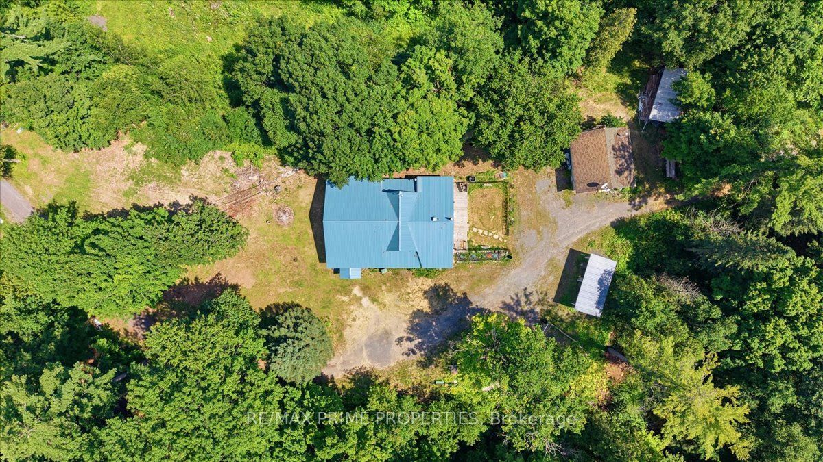 517 Wilson Road Property Photo 8
