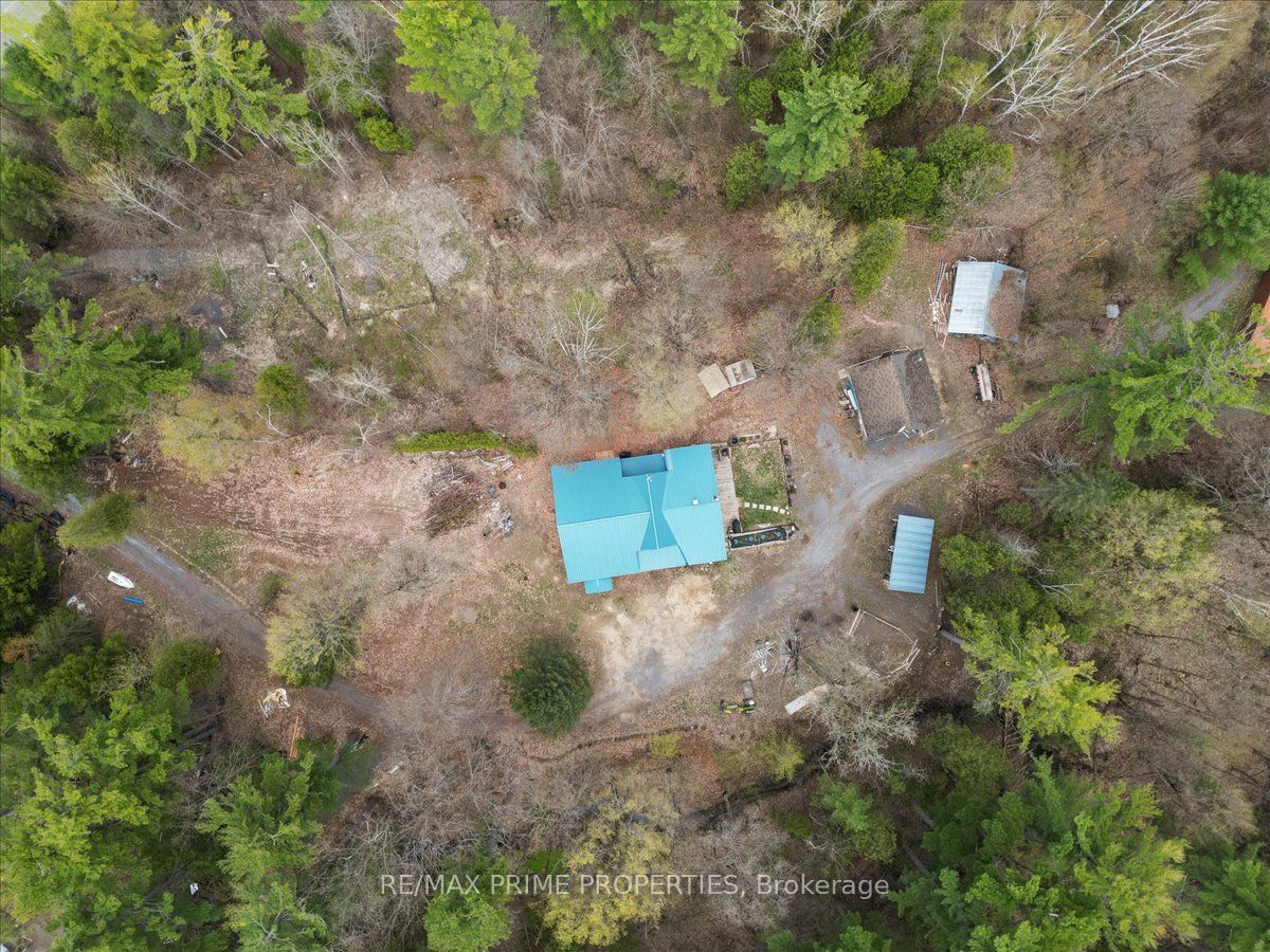 517 Wilson Road Property Photo 38