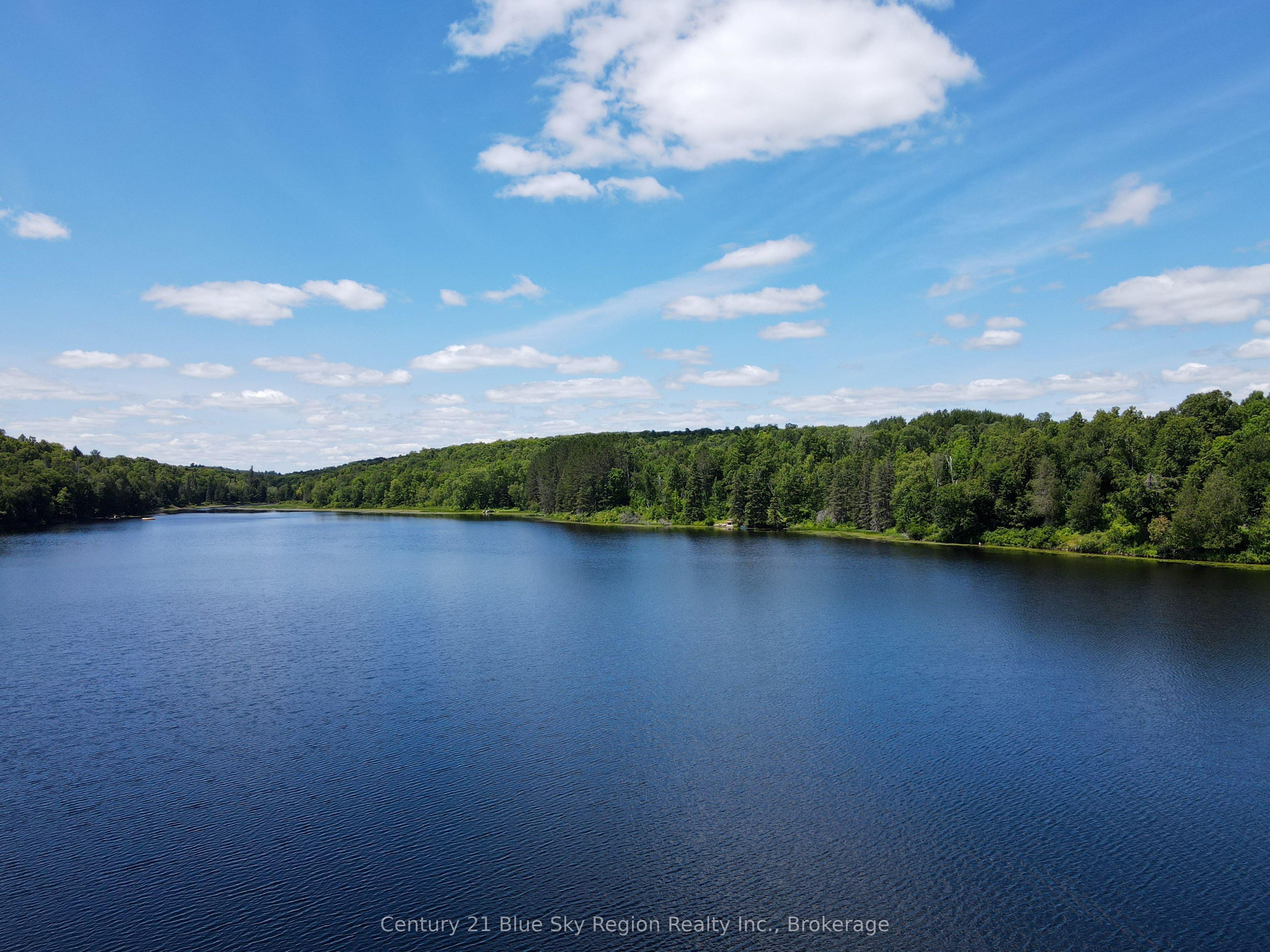21 Jack's Lake Property Photo 48