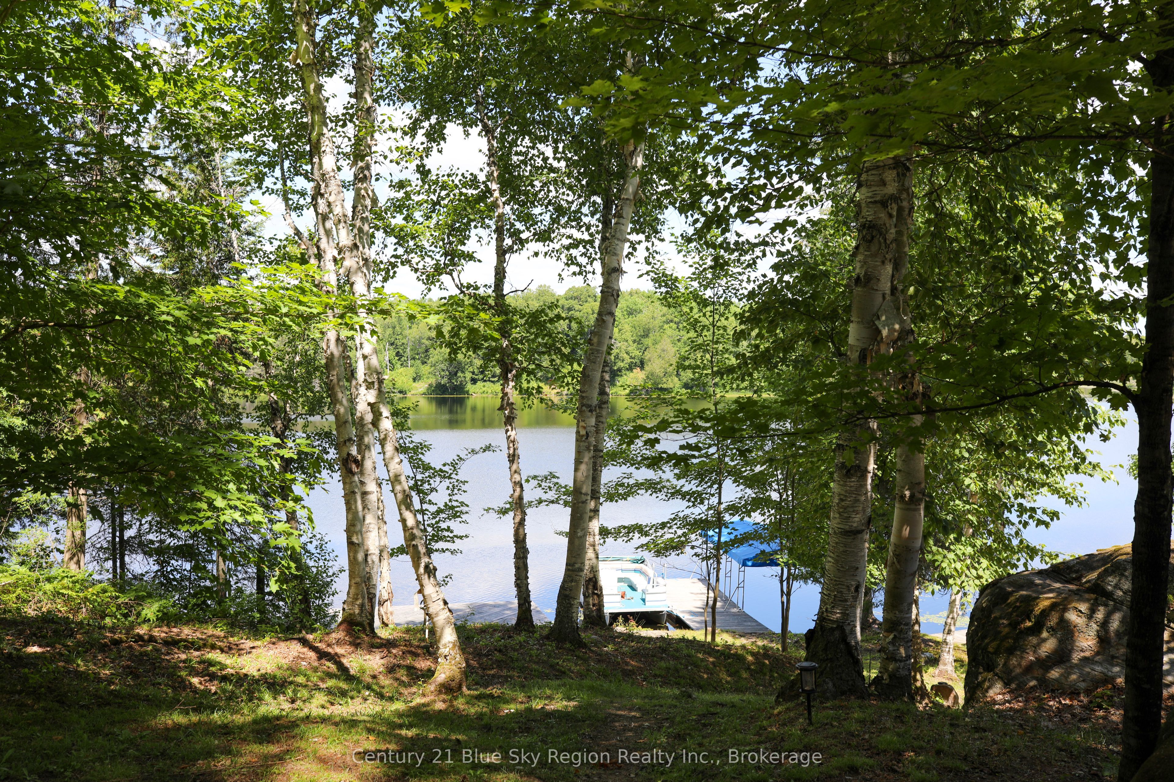 21 Jack's Lake Property Photo 49