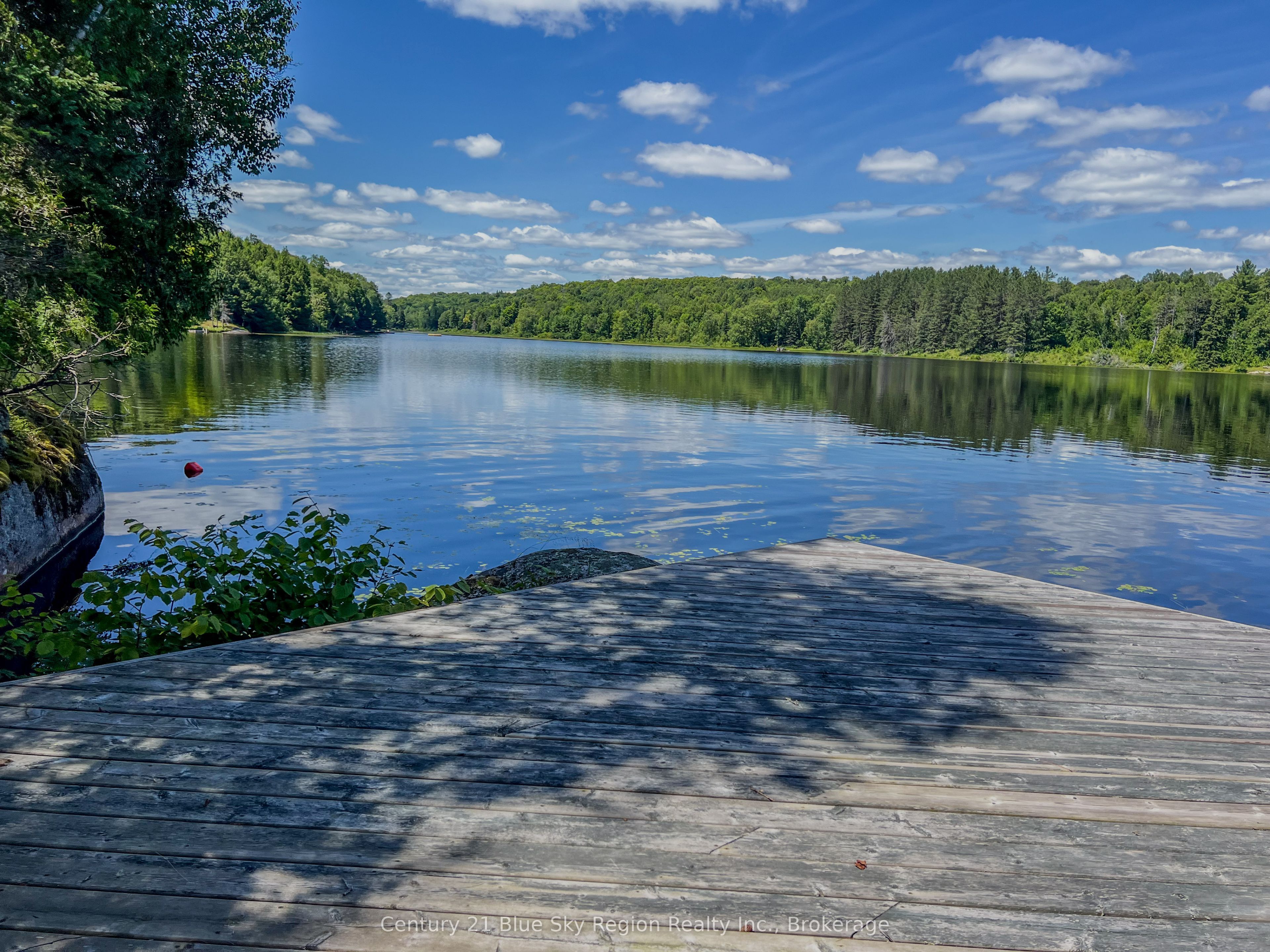 21 Jack's Lake Property Photo 50