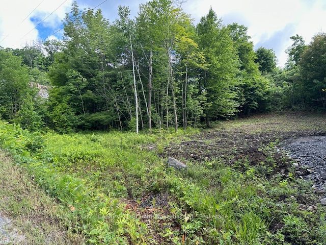 4 Mcnaughts Road Property Photo 2