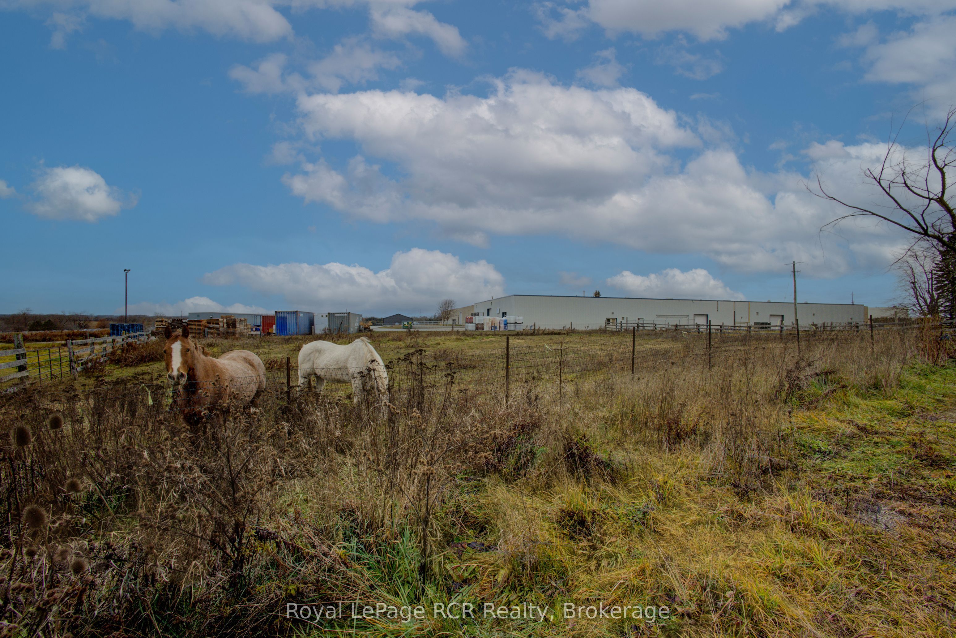 441 Smith Street Property Photo 7