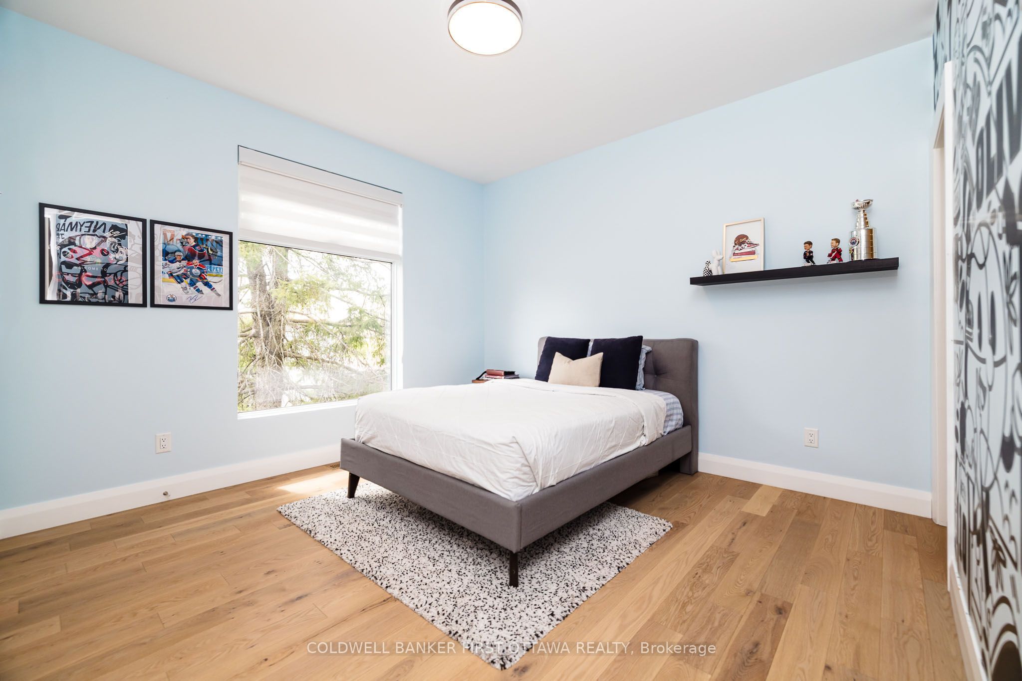 11a Carleton Cathcart Street Property Photo 33