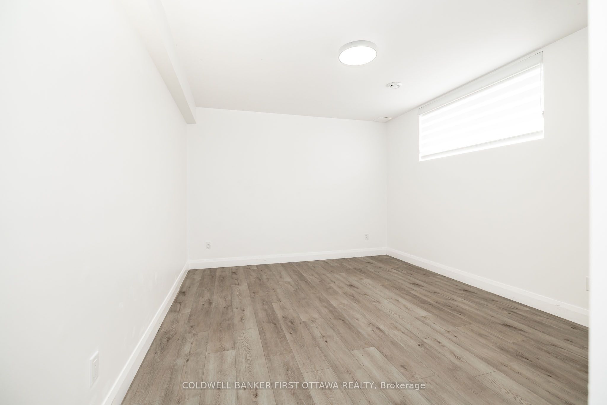 11a Carleton Cathcart Street Property Photo 45