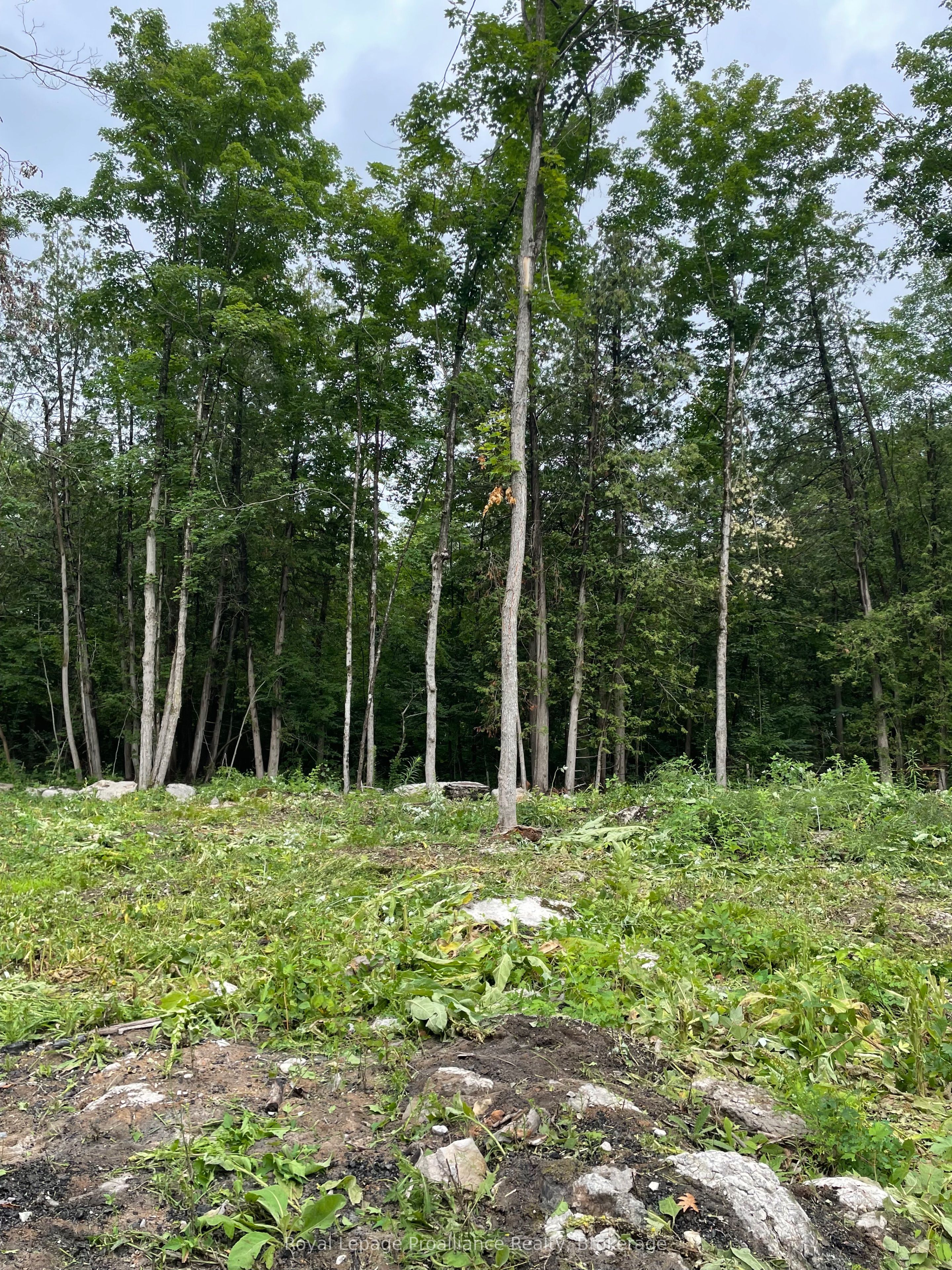 378 Station Road Property Photo 1