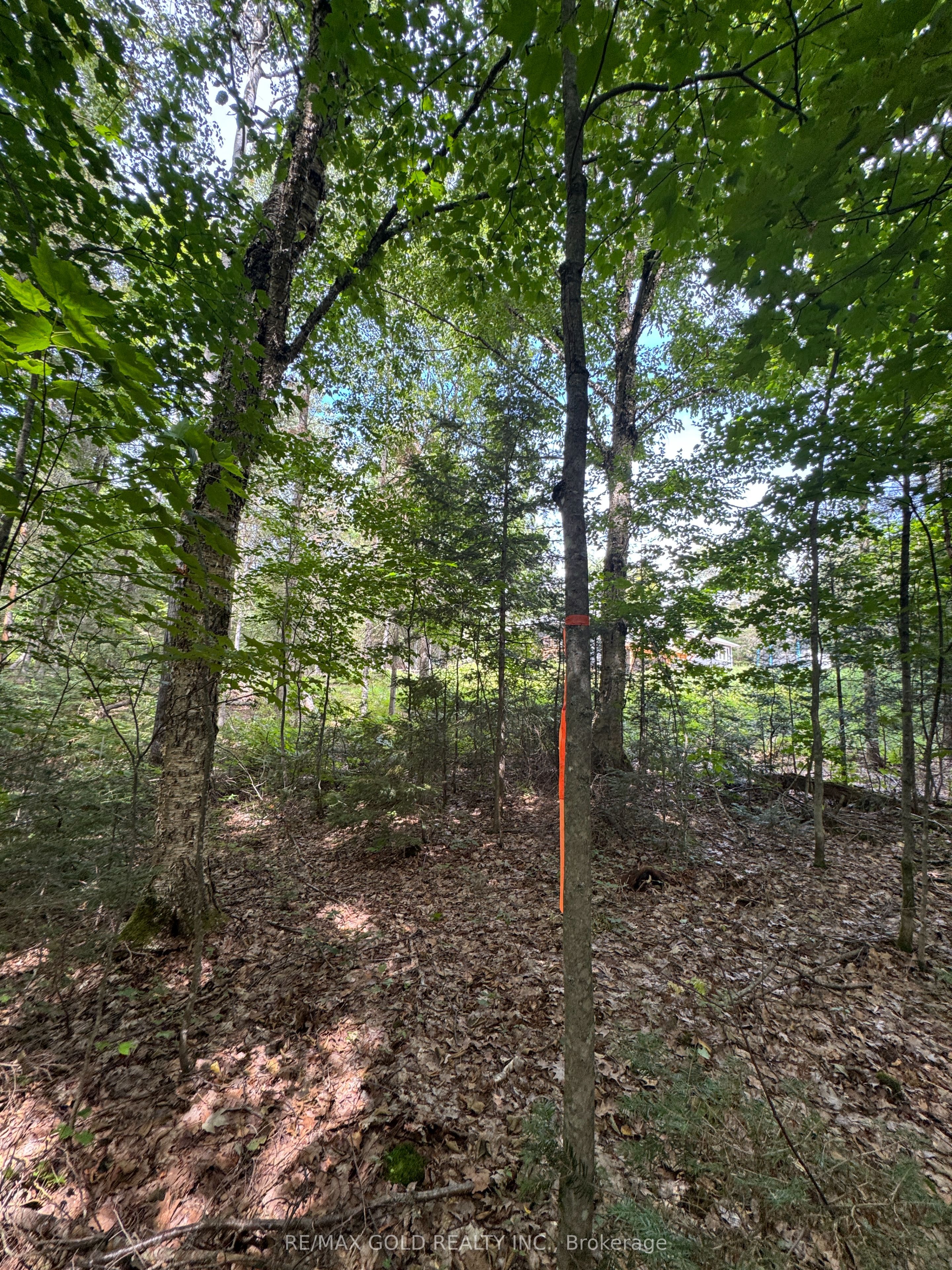1791 Alsace Road Property Photo 2