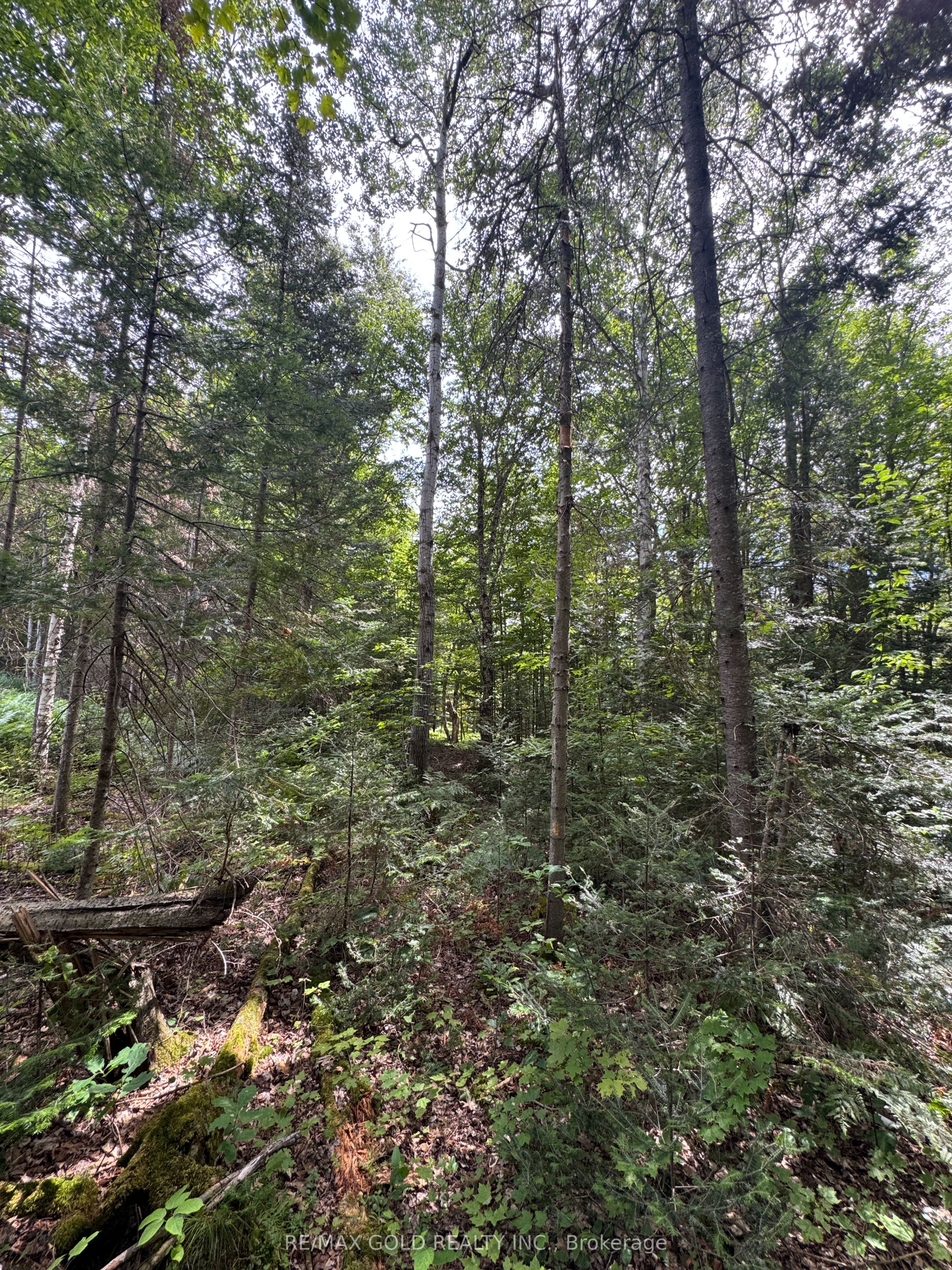 1791 Alsace Road Property Photo 4