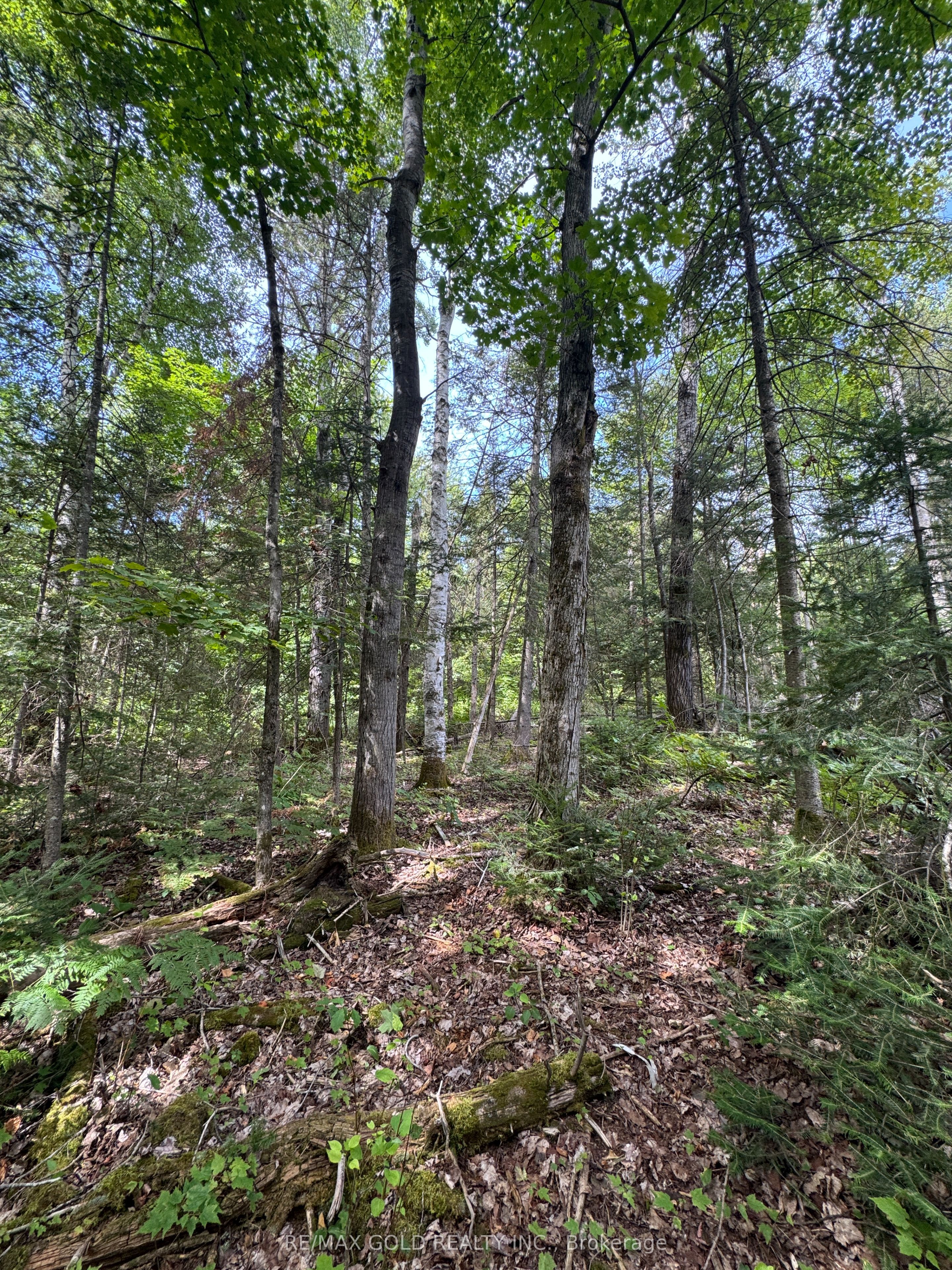 1791 Alsace Road Property Photo 5
