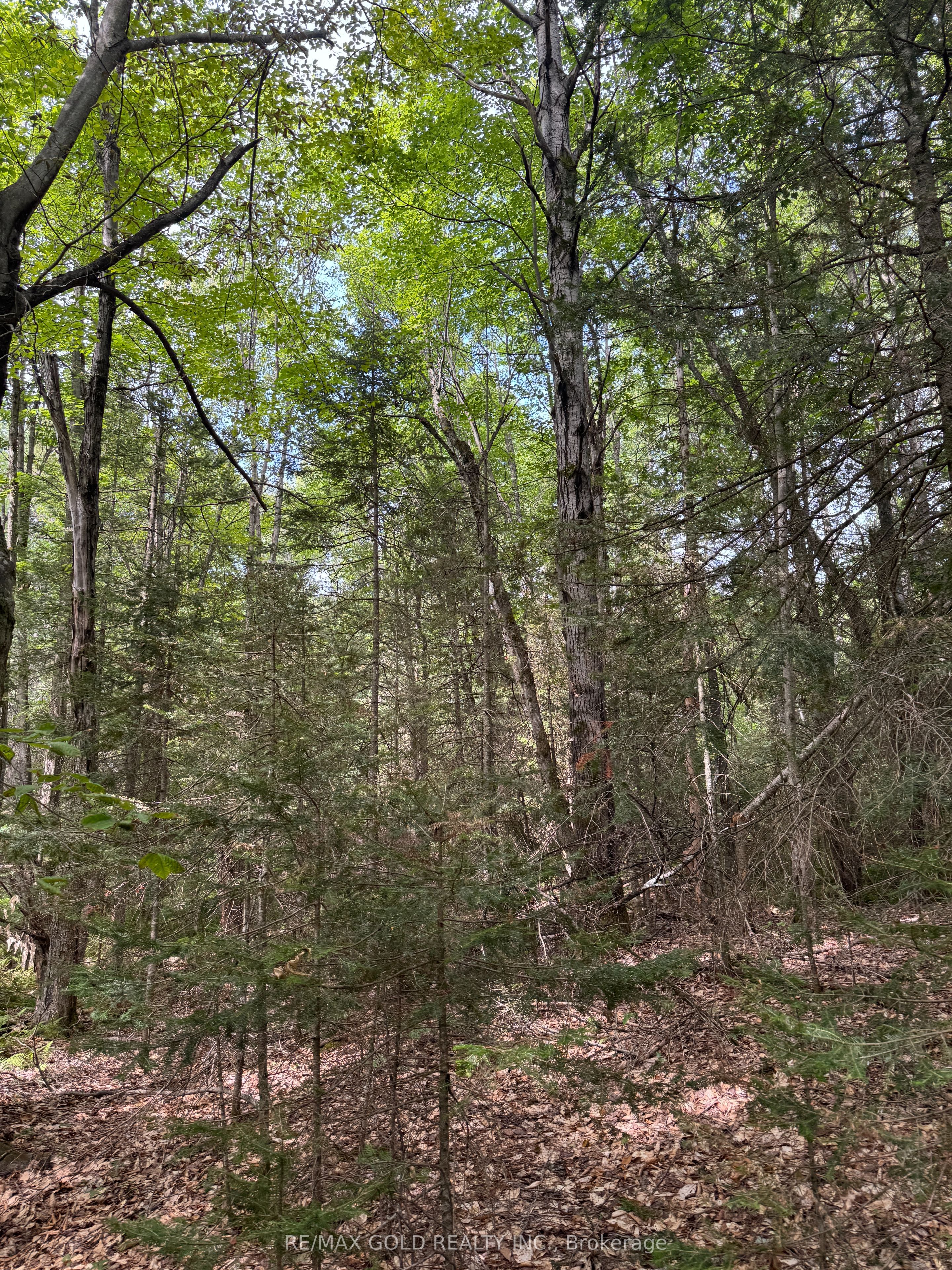 1791 Alsace Road Property Photo 7