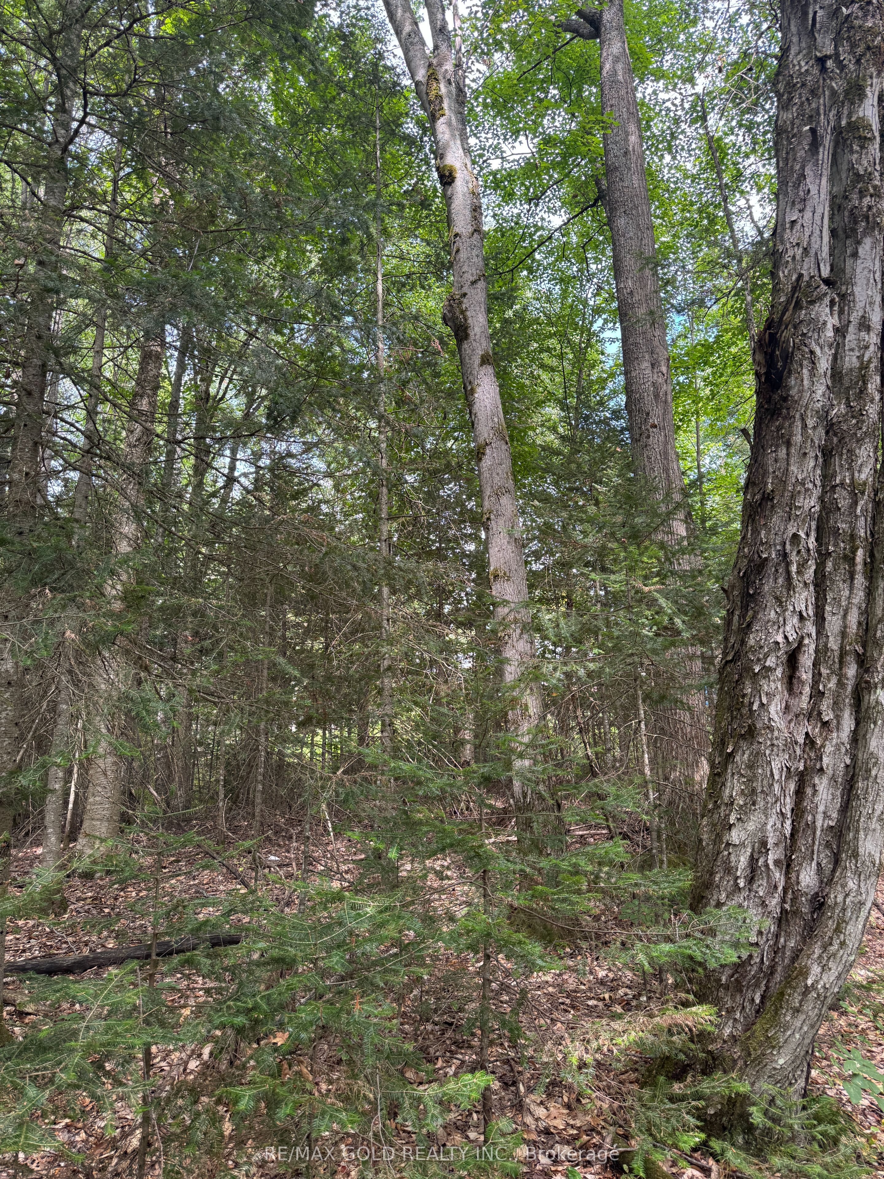 1791 Alsace Road Property Photo 8