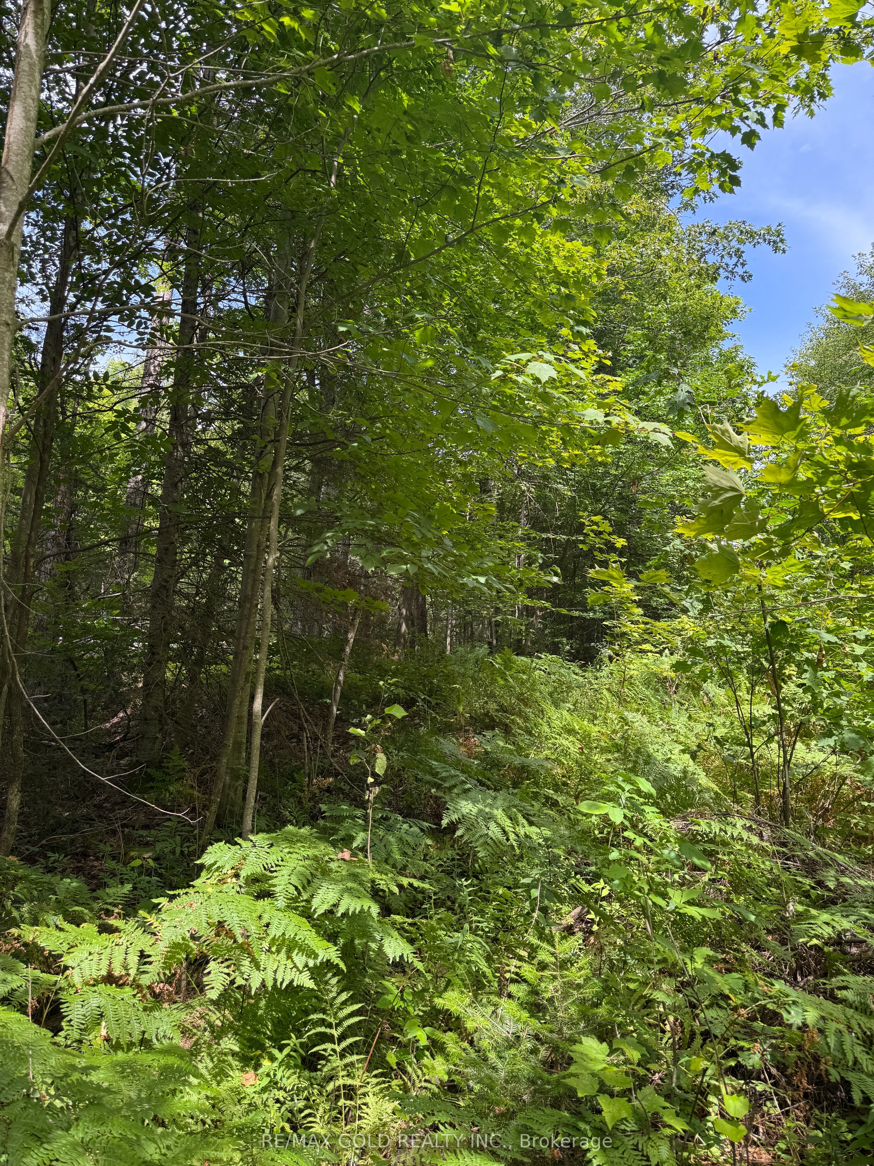 1791 Alsace Road Property Photo 12