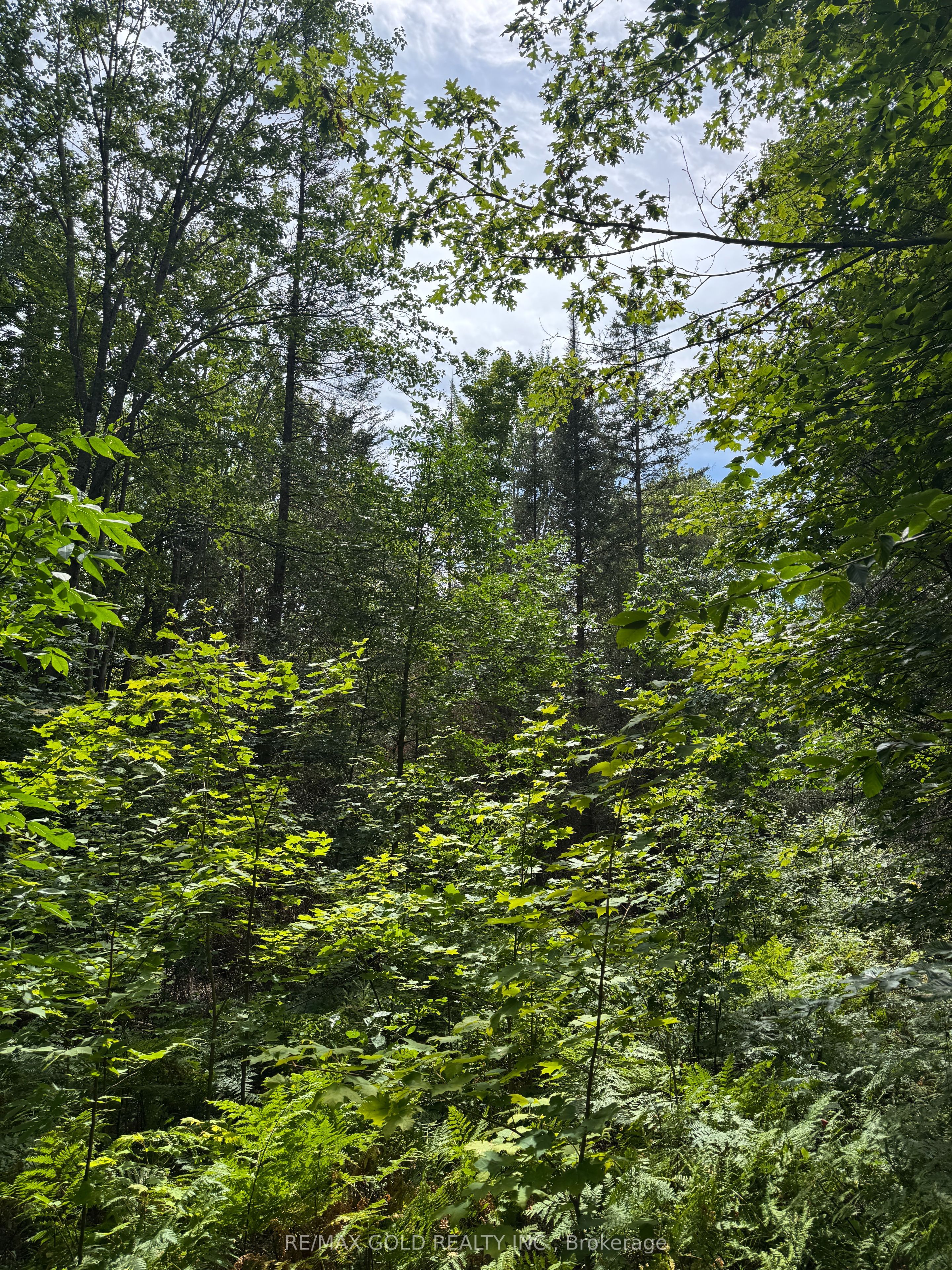 1791 Alsace Road Property Photo 17