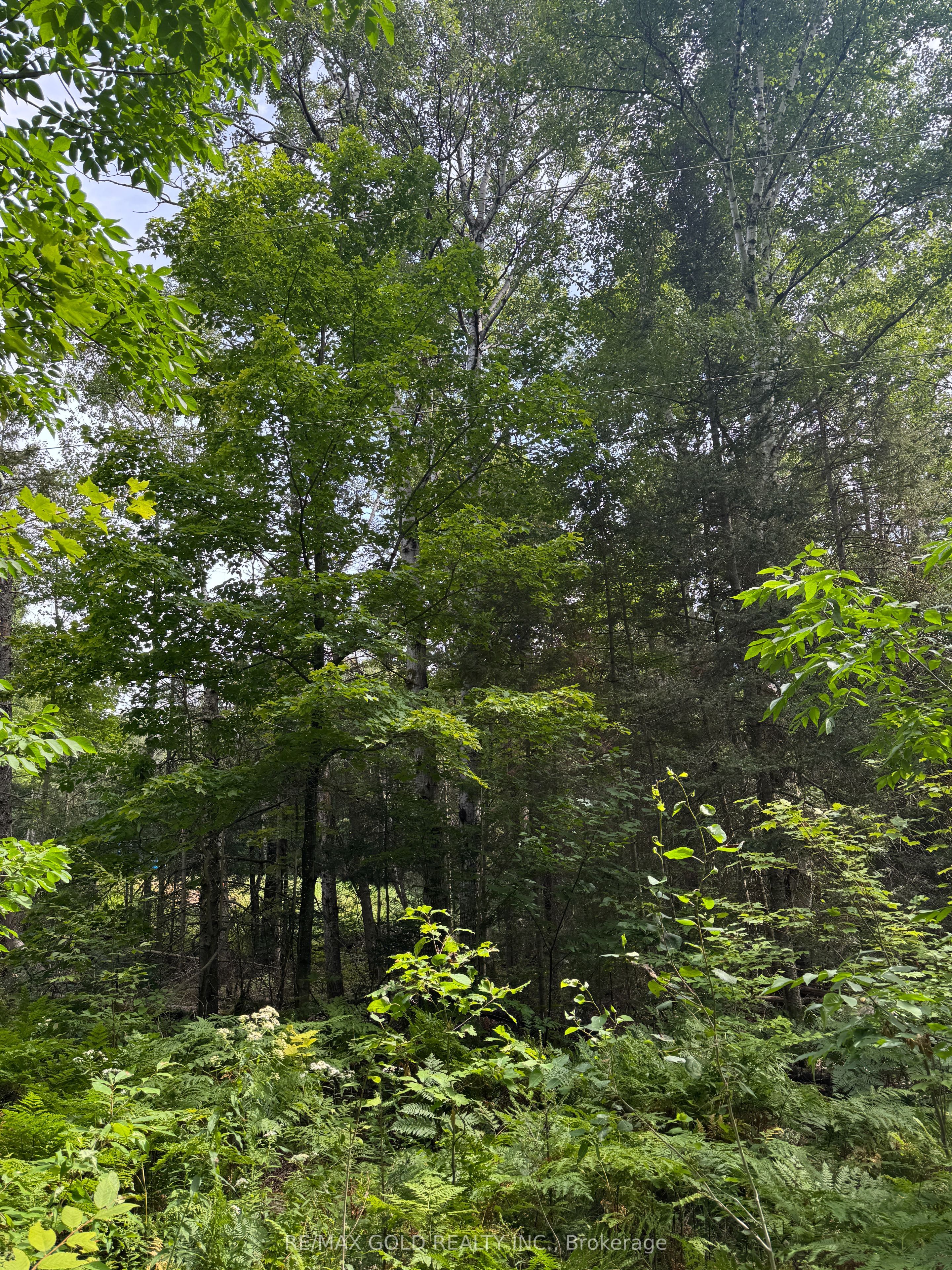 1791 Alsace Road Property Photo 18