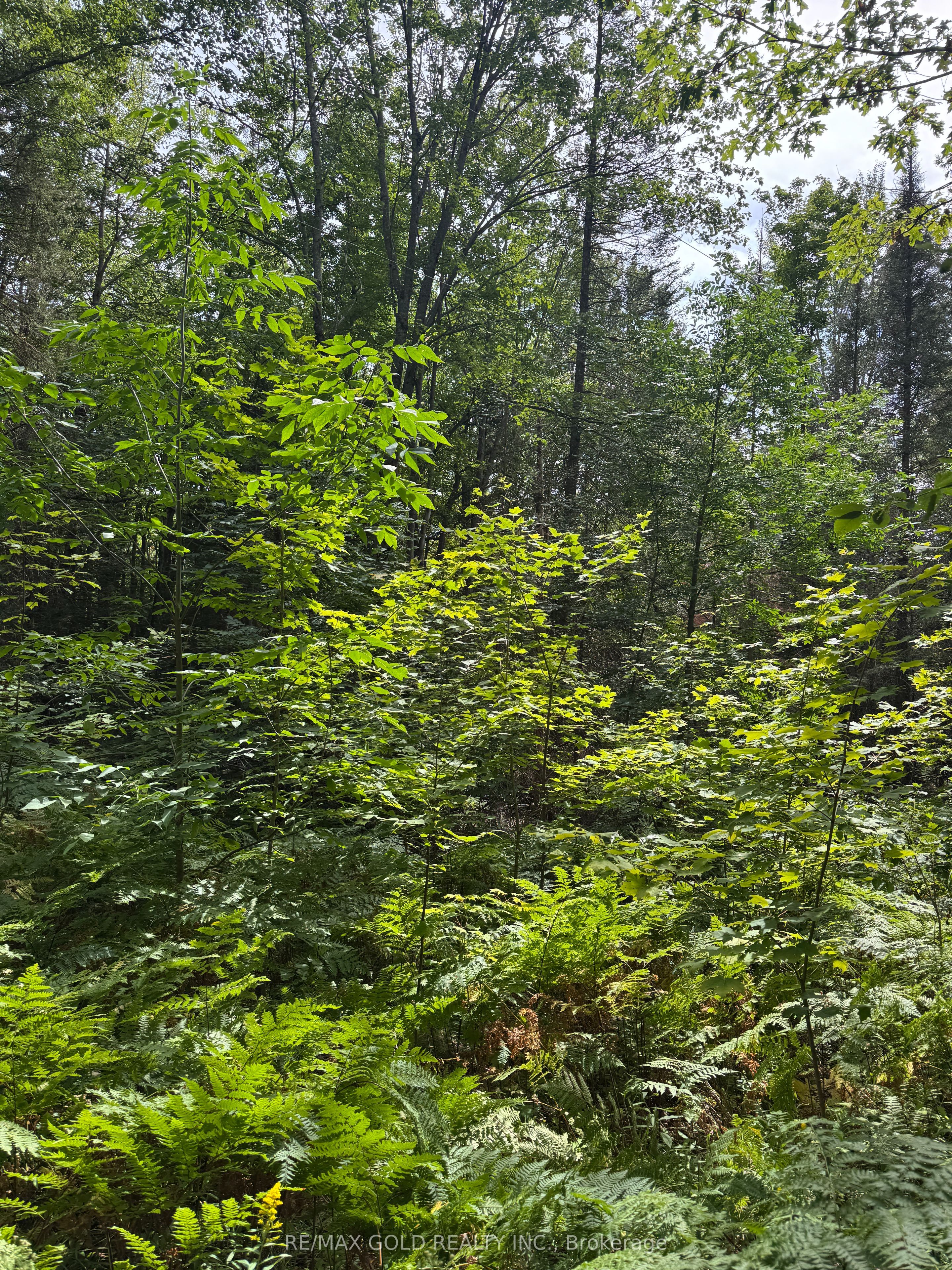 1791 Alsace Road Property Photo 20