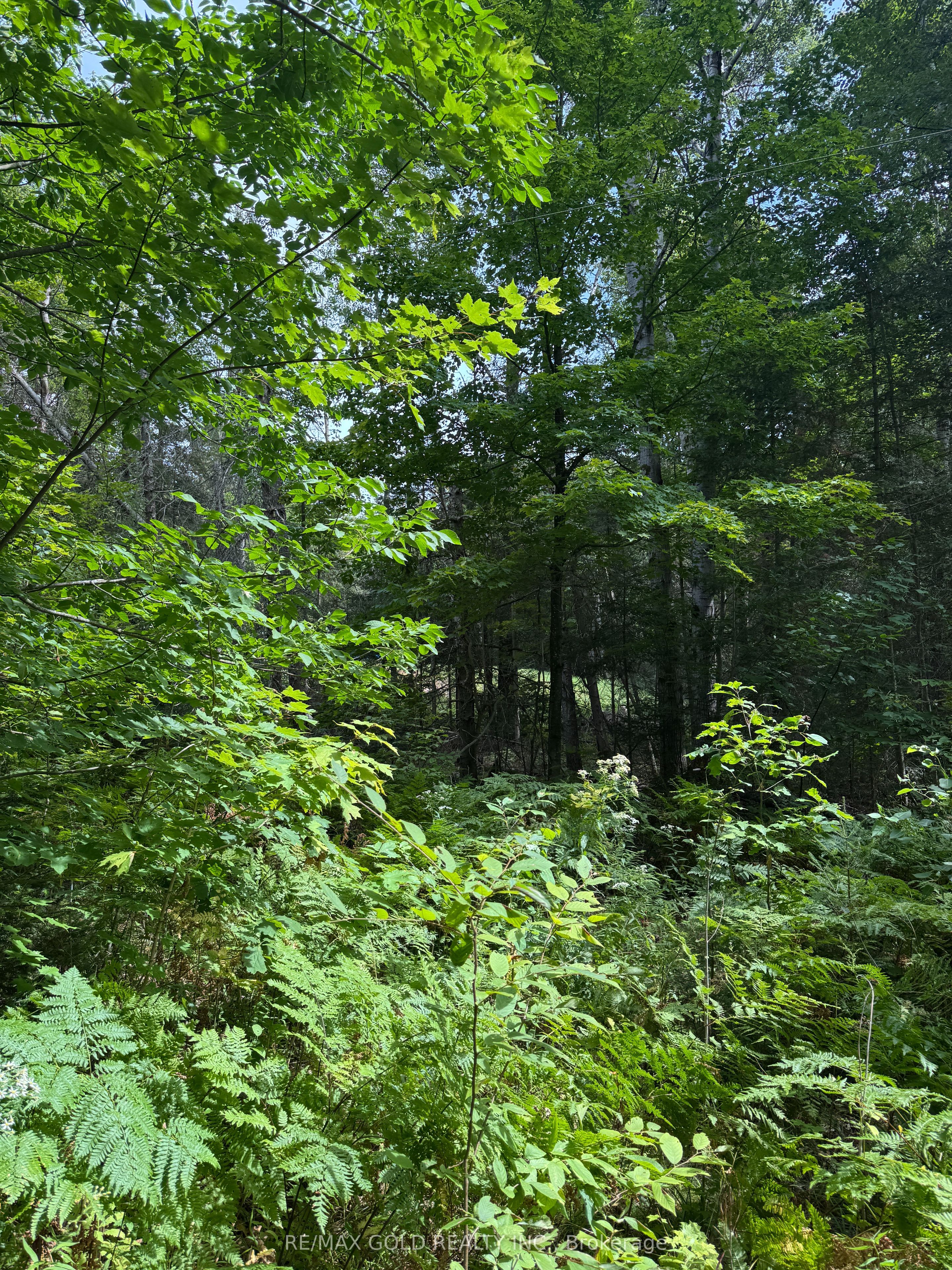 1791 Alsace Road Property Photo 21