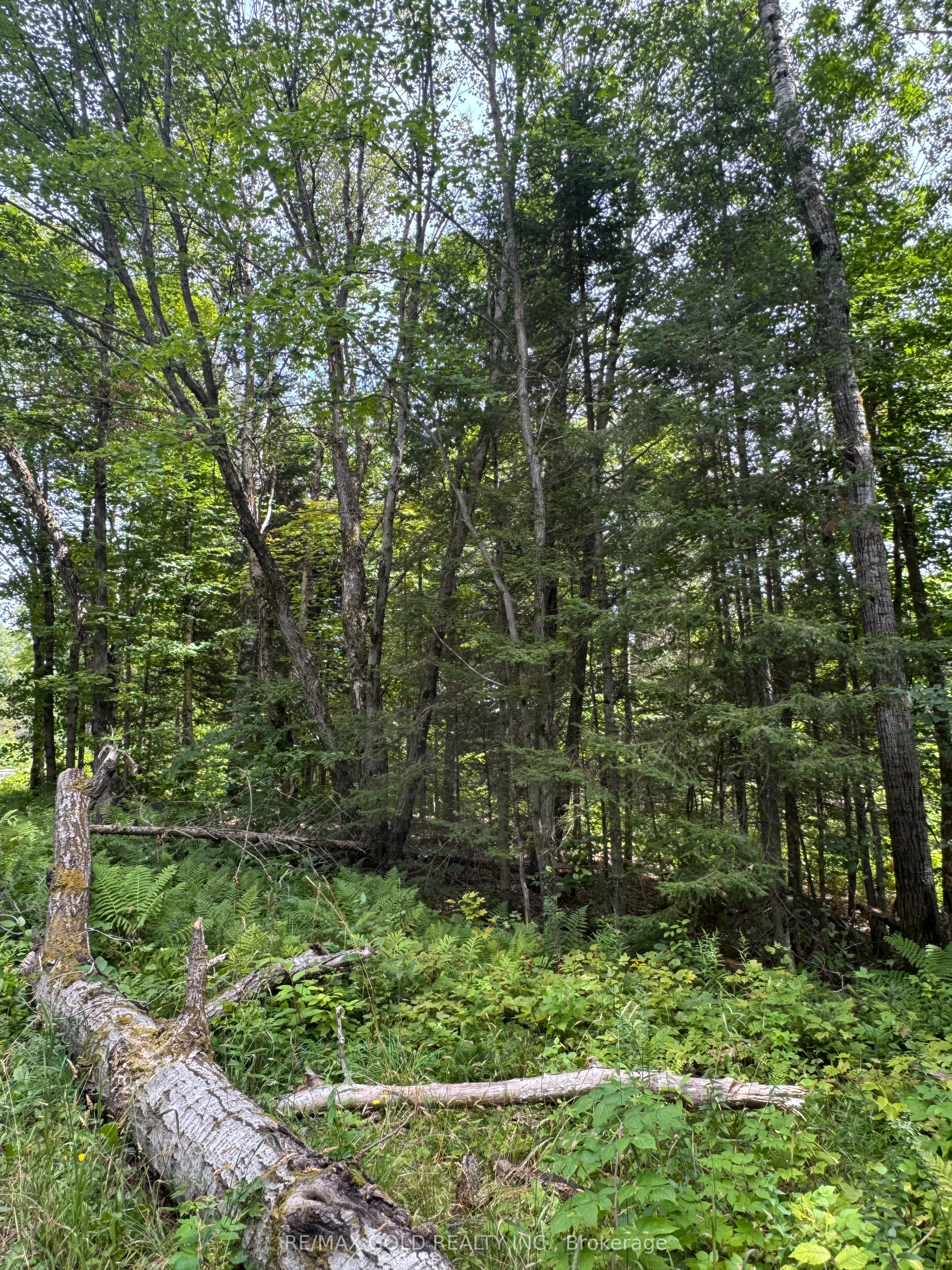 1791 Alsace Road Property Photo 25