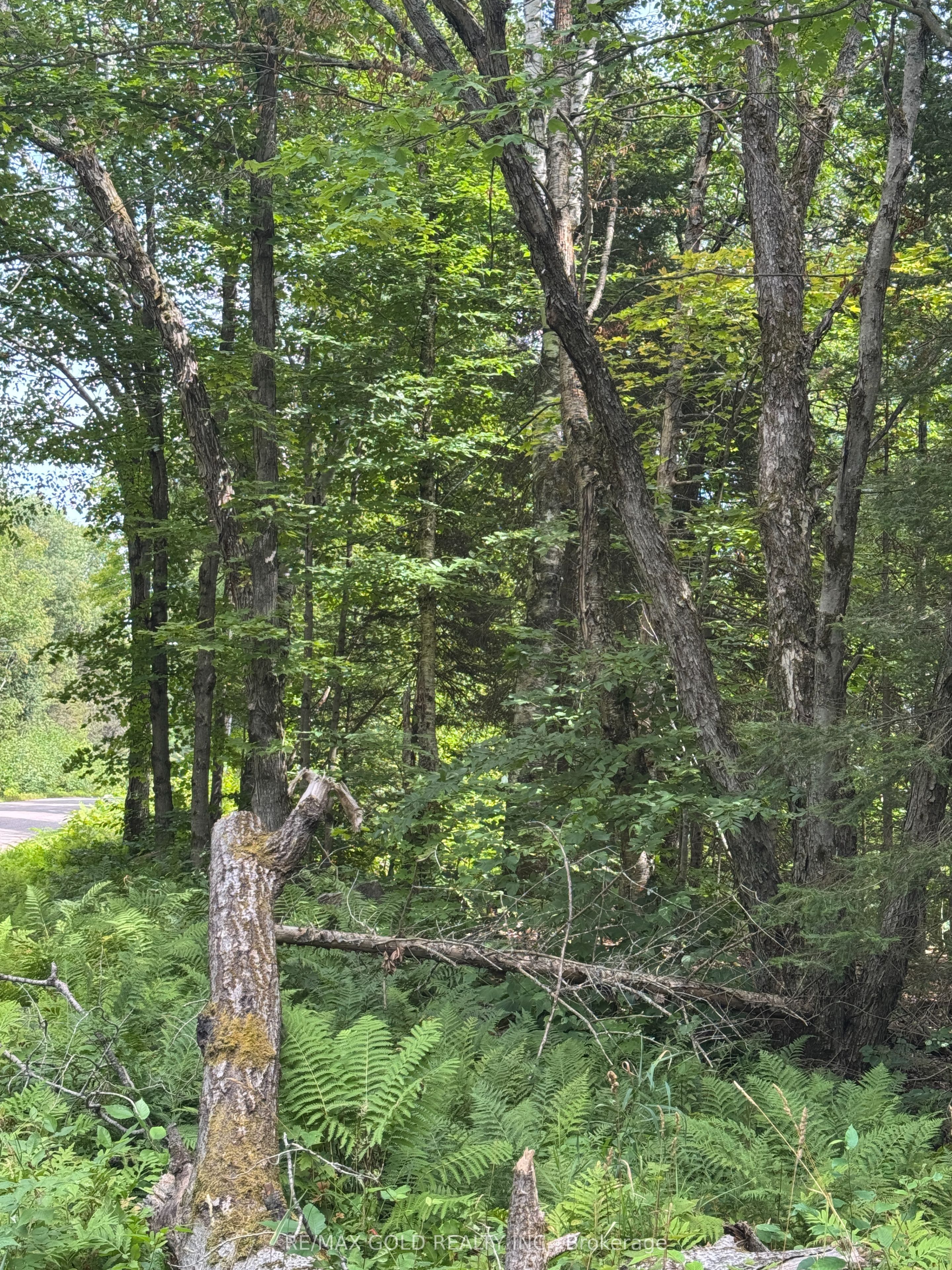 1791 Alsace Road Property Photo 26