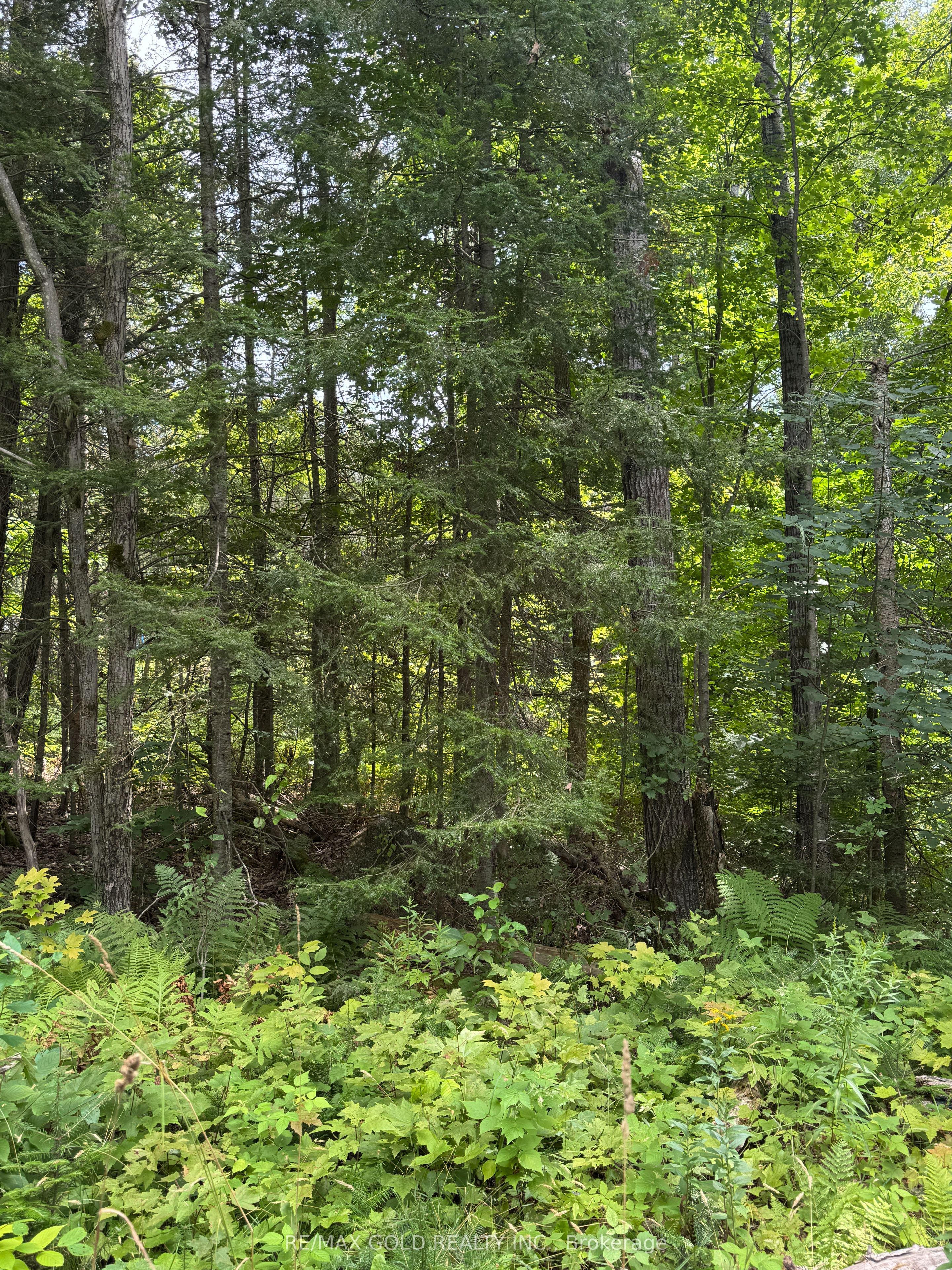 1791 Alsace Road Property Photo 29