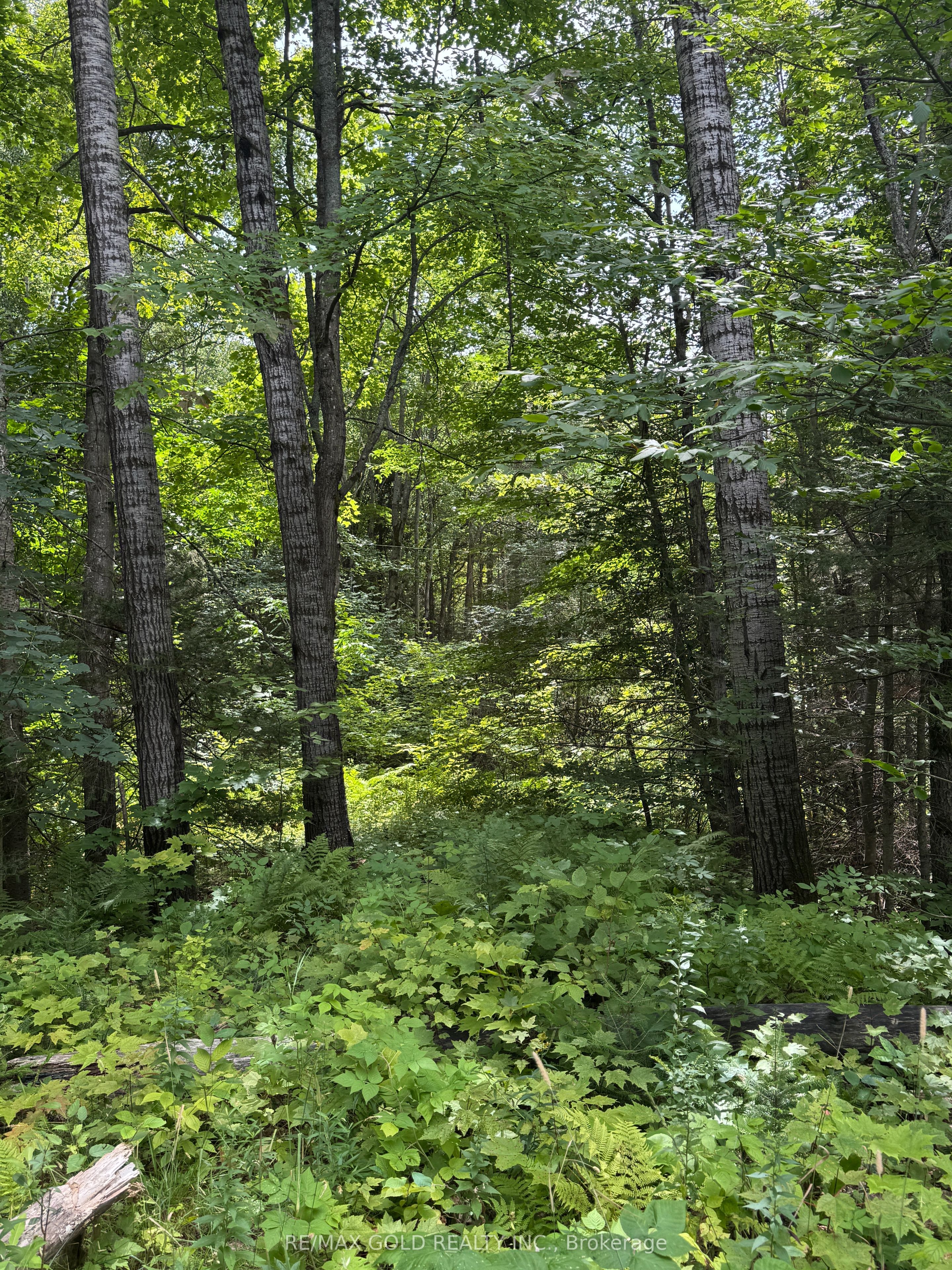 1791 Alsace Road Property Photo 30
