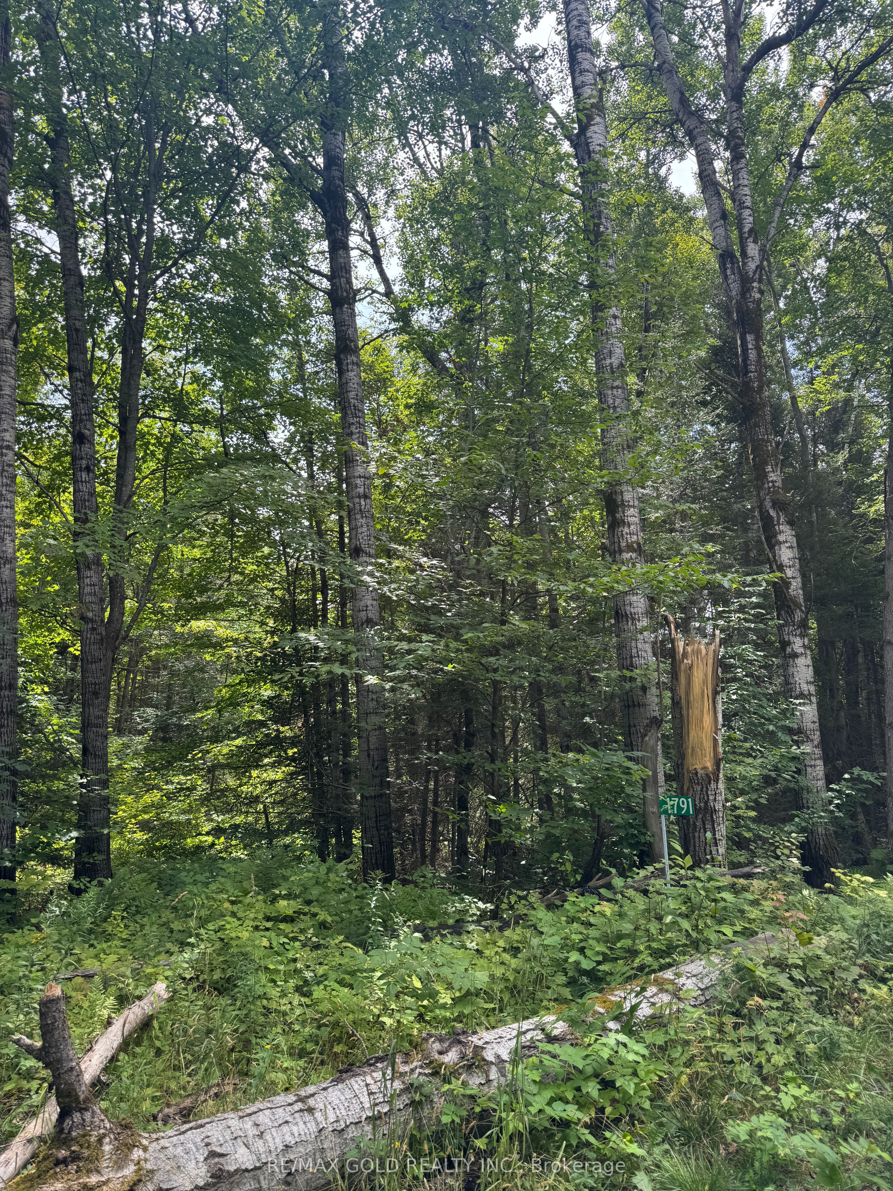1791 Alsace Road Property Photo 31