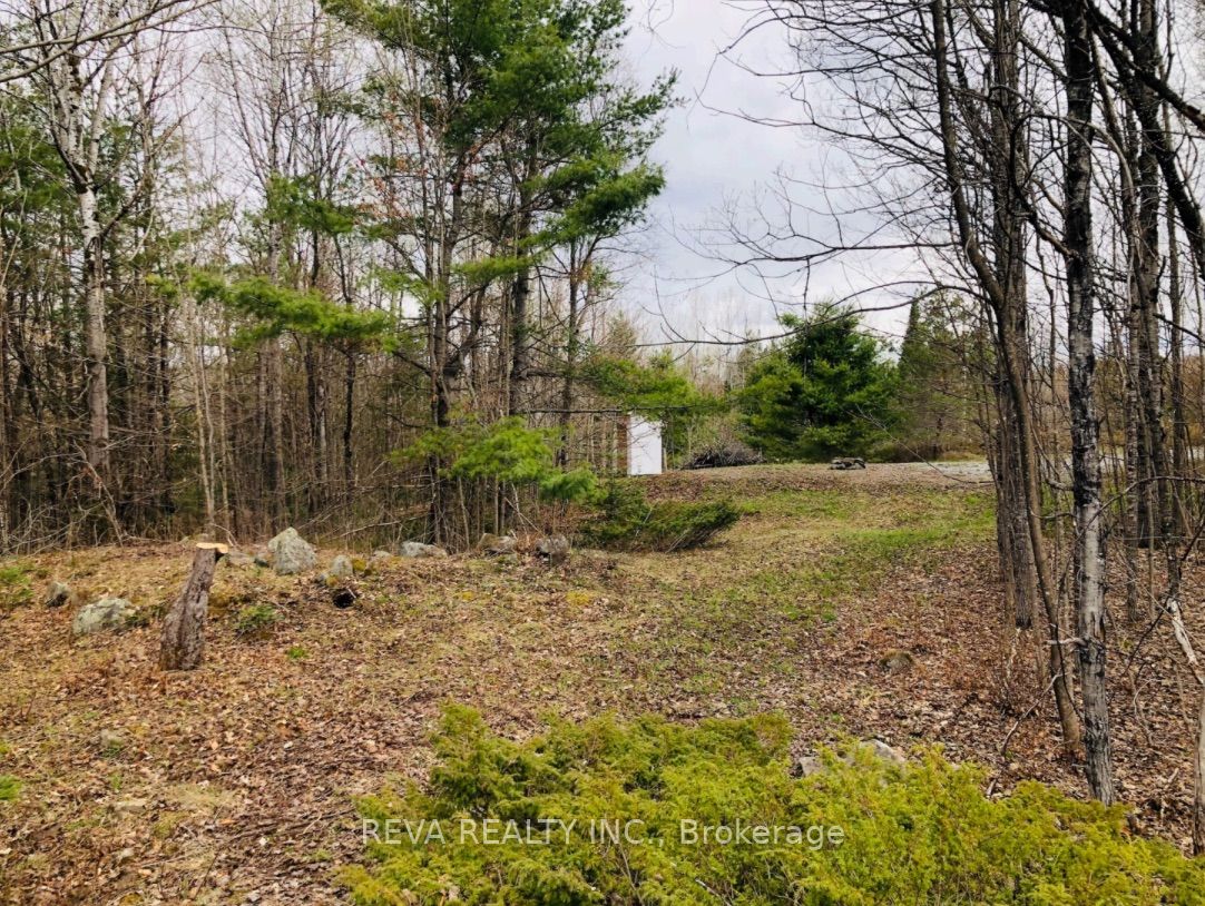 384 Matawatchan Road Property Photo 10