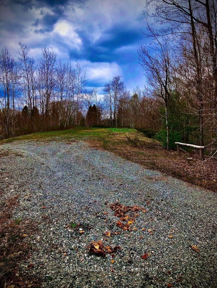 384 Matawatchan Road Property Photo 11