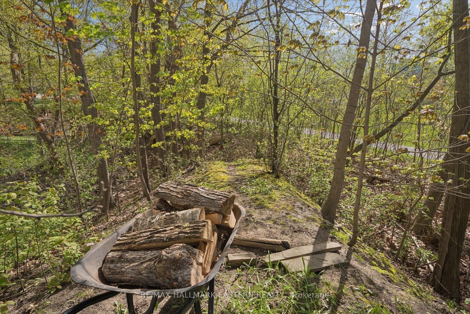 301 Engleburn Avenue Property Photo 40