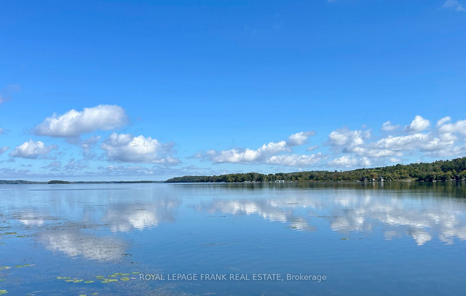 2a Whites Island Property Photo 2