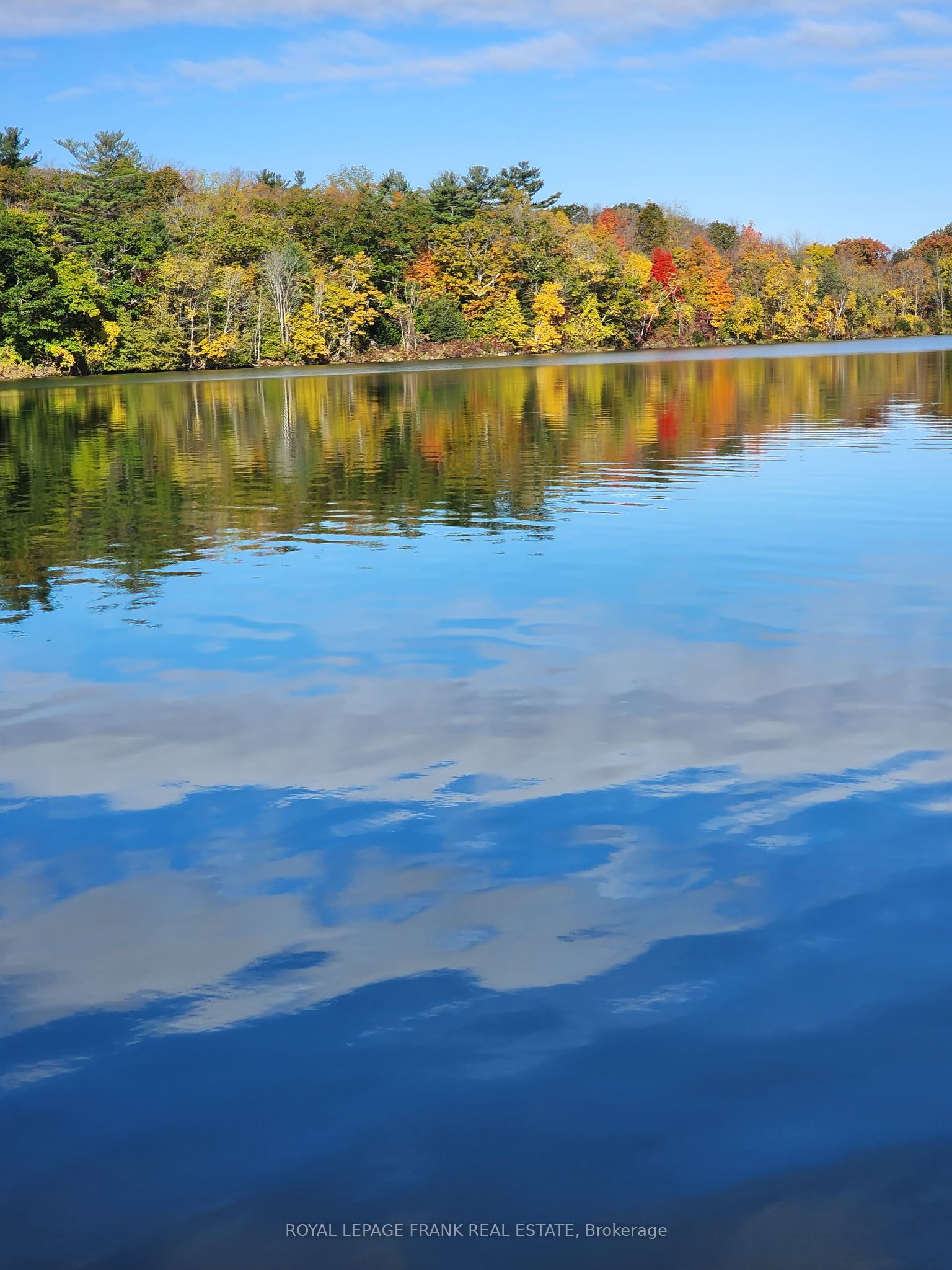 2a Whites Island Property Photo 4