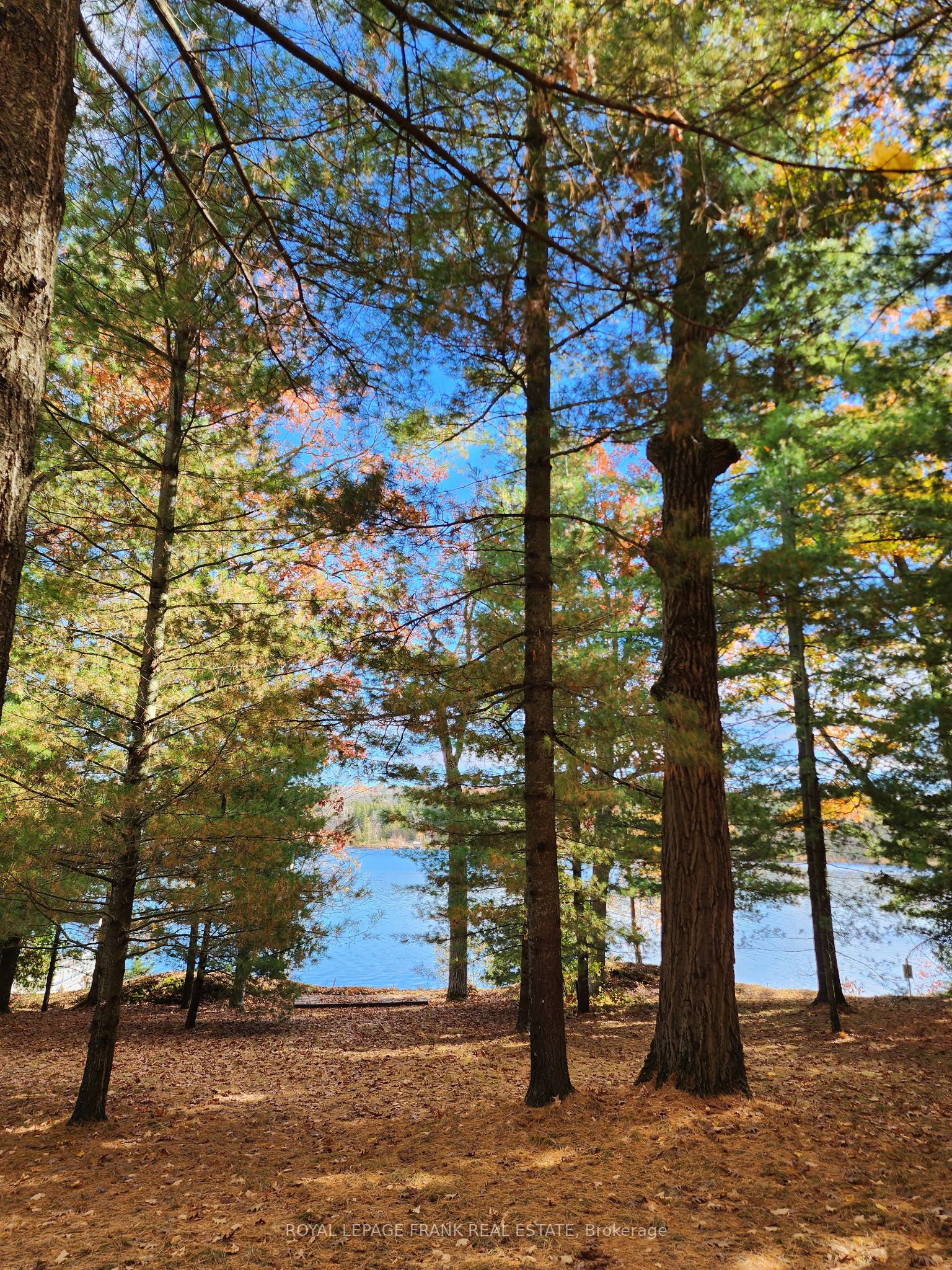 2a Whites Island Property Photo 14