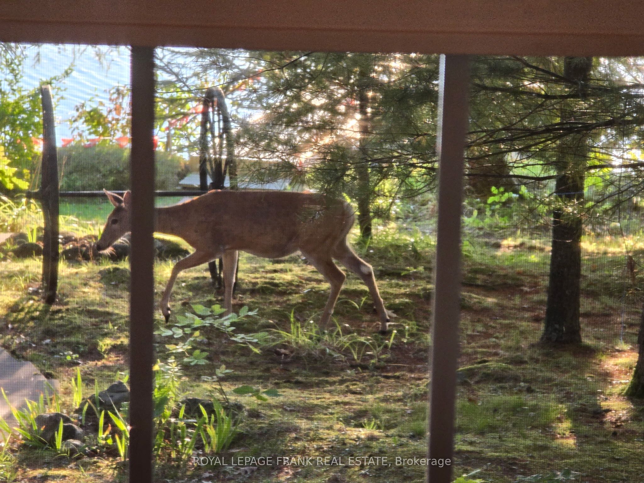 2a Whites Island Property Photo 29