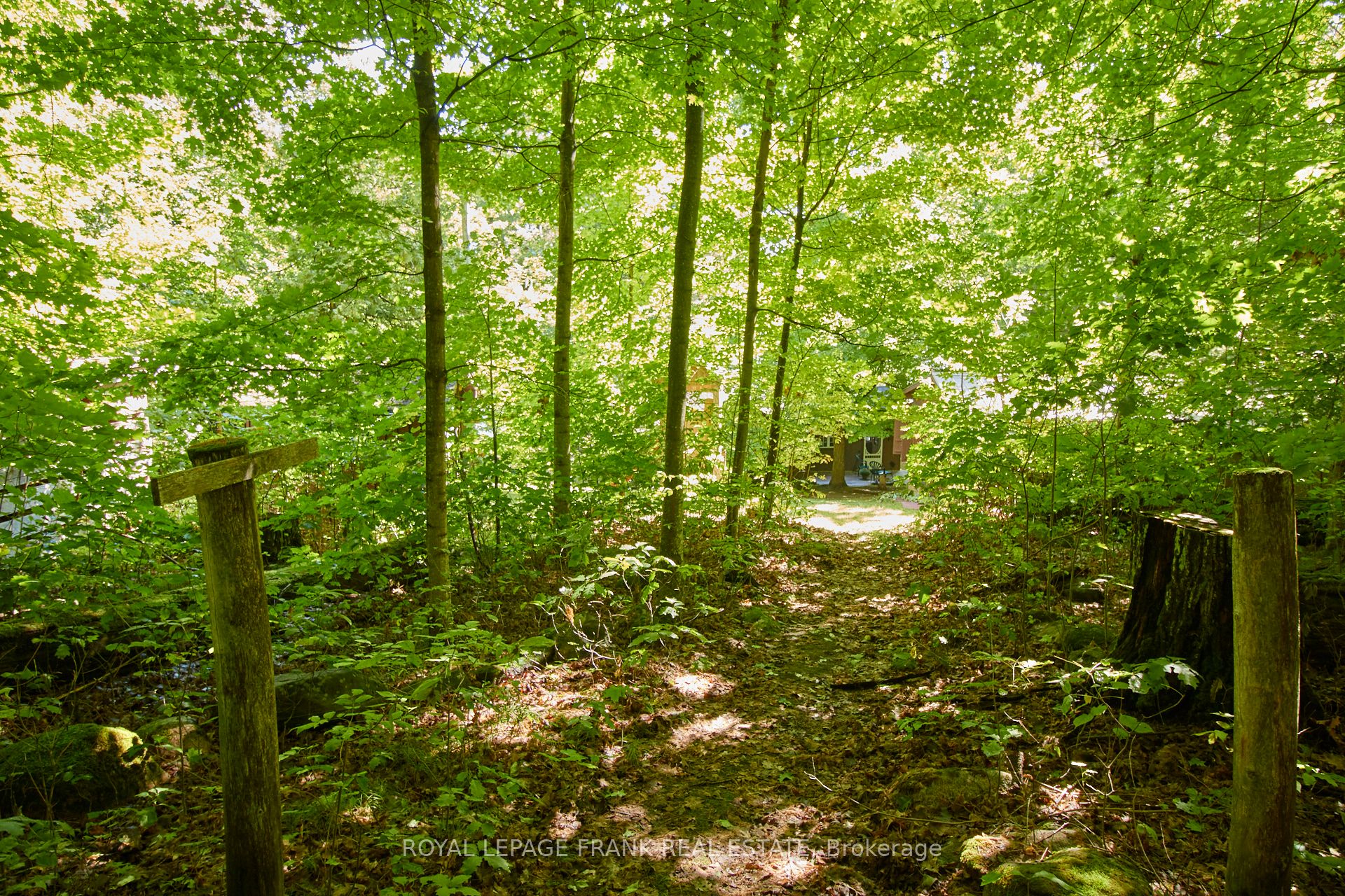 2a Whites Island Property Photo 31