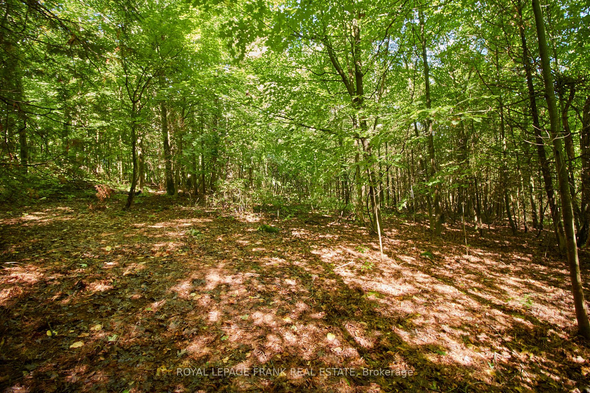 2a Whites Island Property Photo 33