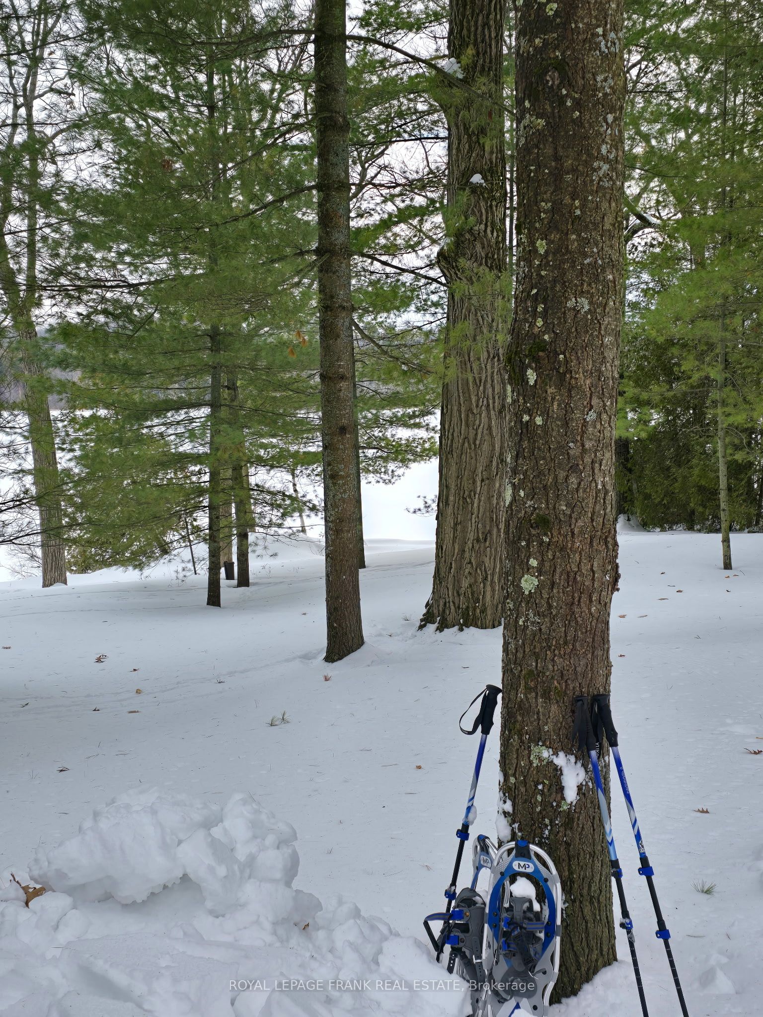 2a Whites Island Property Photo 34