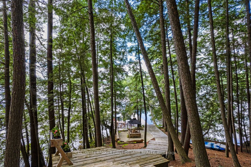 2275 Palmerston Lake Property Photo 6