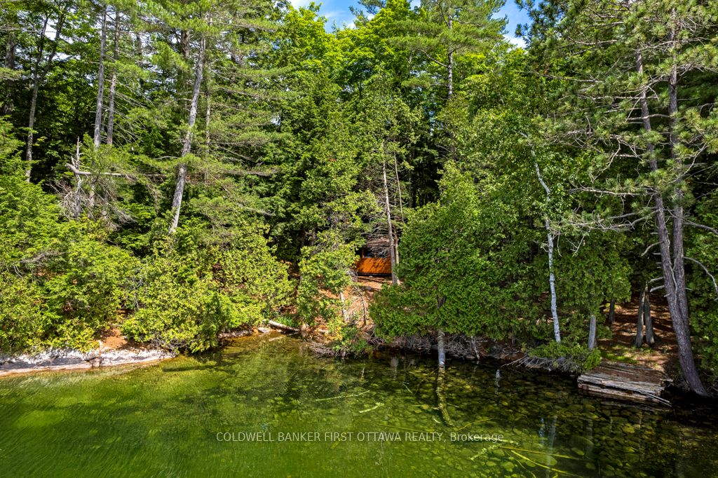 2275 Palmerston Lake Property Photo 41