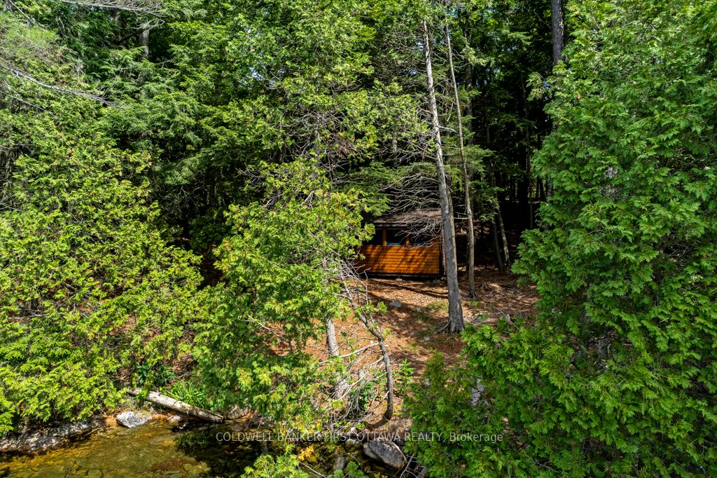 2275 Palmerston Lake Property Photo 42