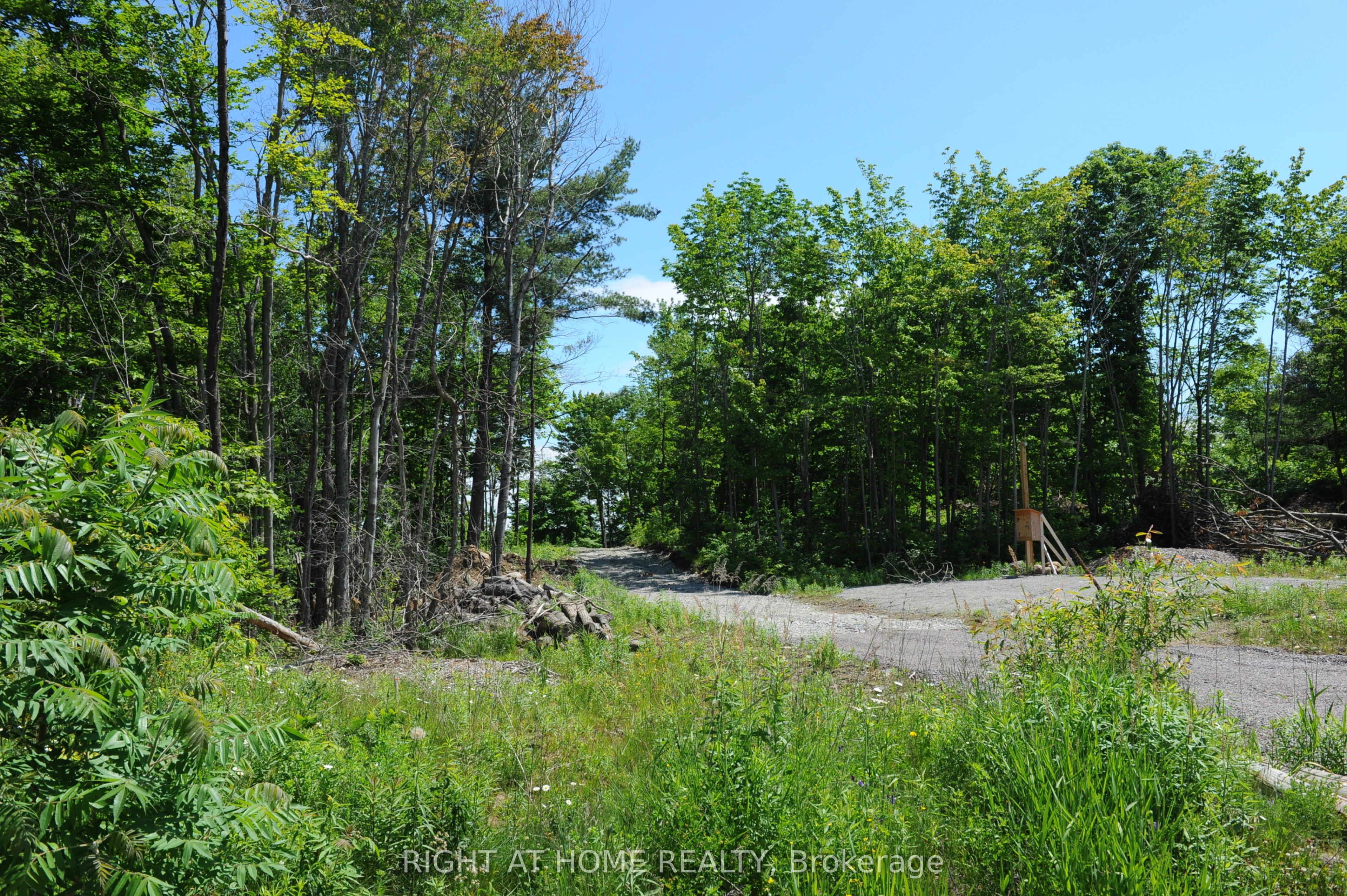 22 Hawkins Point Property Photo 14