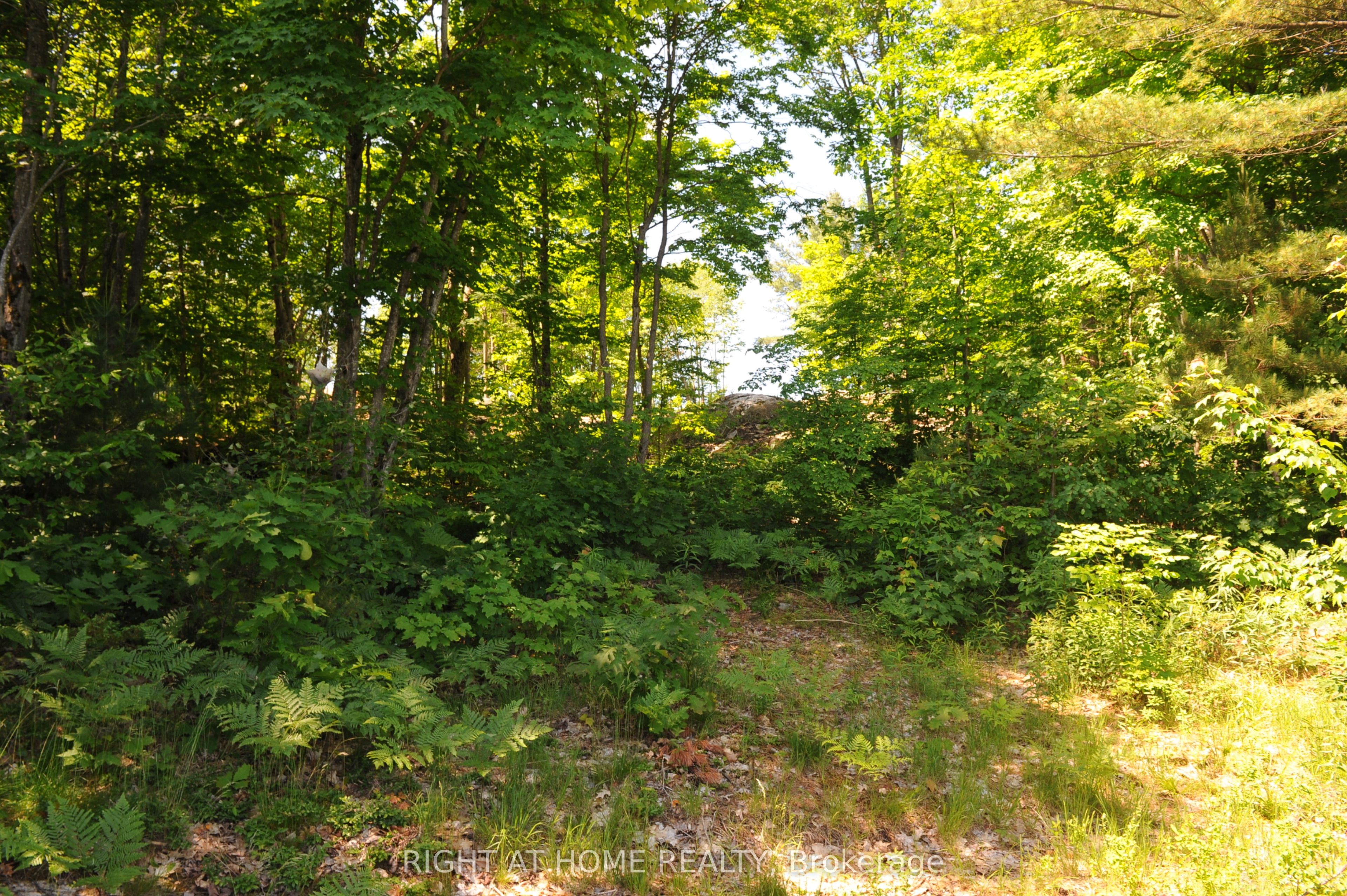 22 Hawkins Point Property Photo 22
