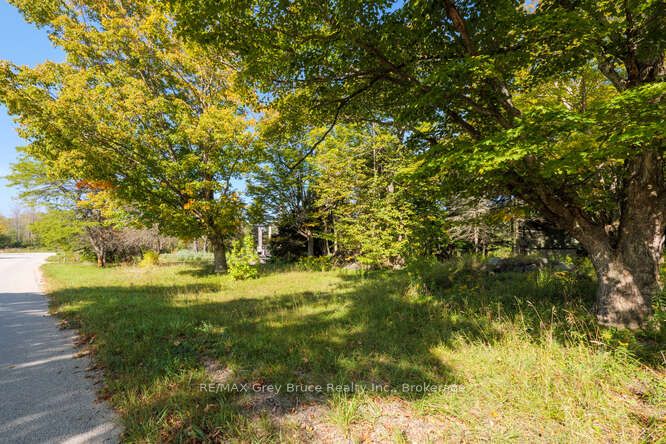 290 Clarke's Road Property Photo 7