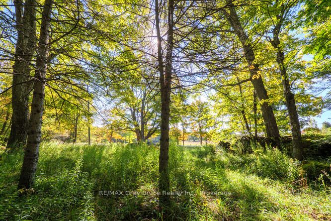 290 Clarke's Road Property Photo 9