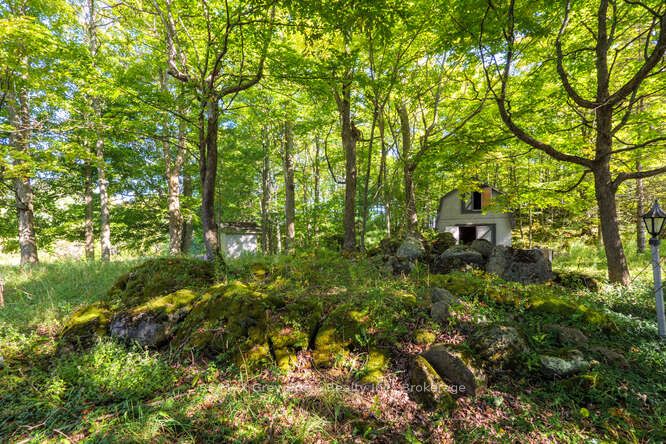 290 Clarke's Road Property Photo 14