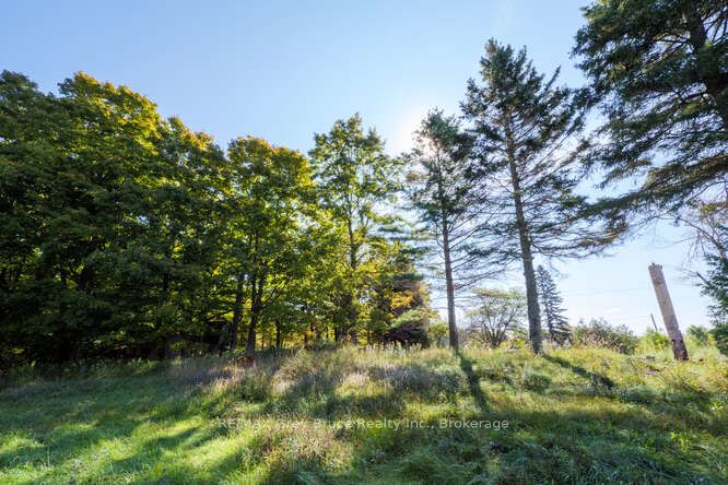 290 Clarke's Road Property Photo 17