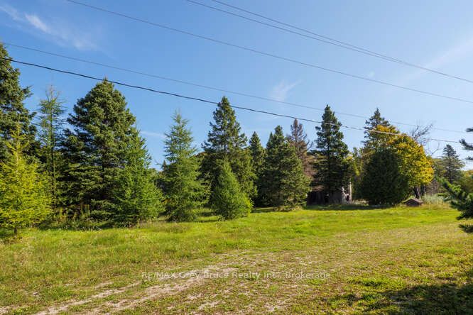 290 Clarke's Road Property Photo 21