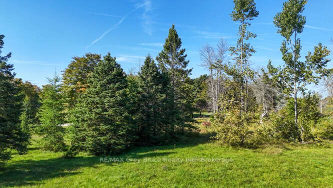 290 Clarke's Road Property Photo 41