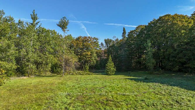 290 Clarke's Road Property Photo 42