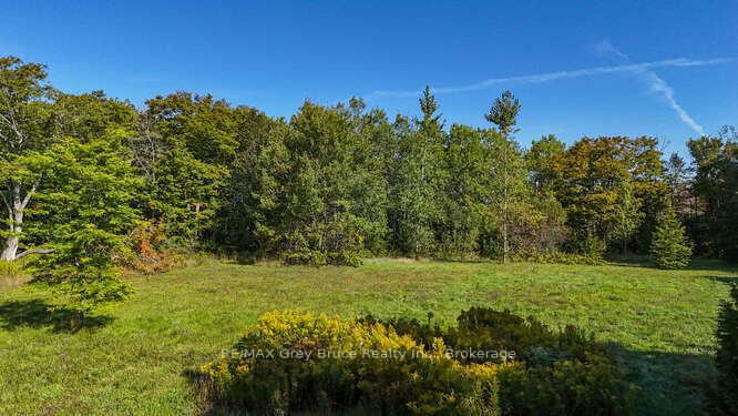 290 Clarke's Road Property Photo 43