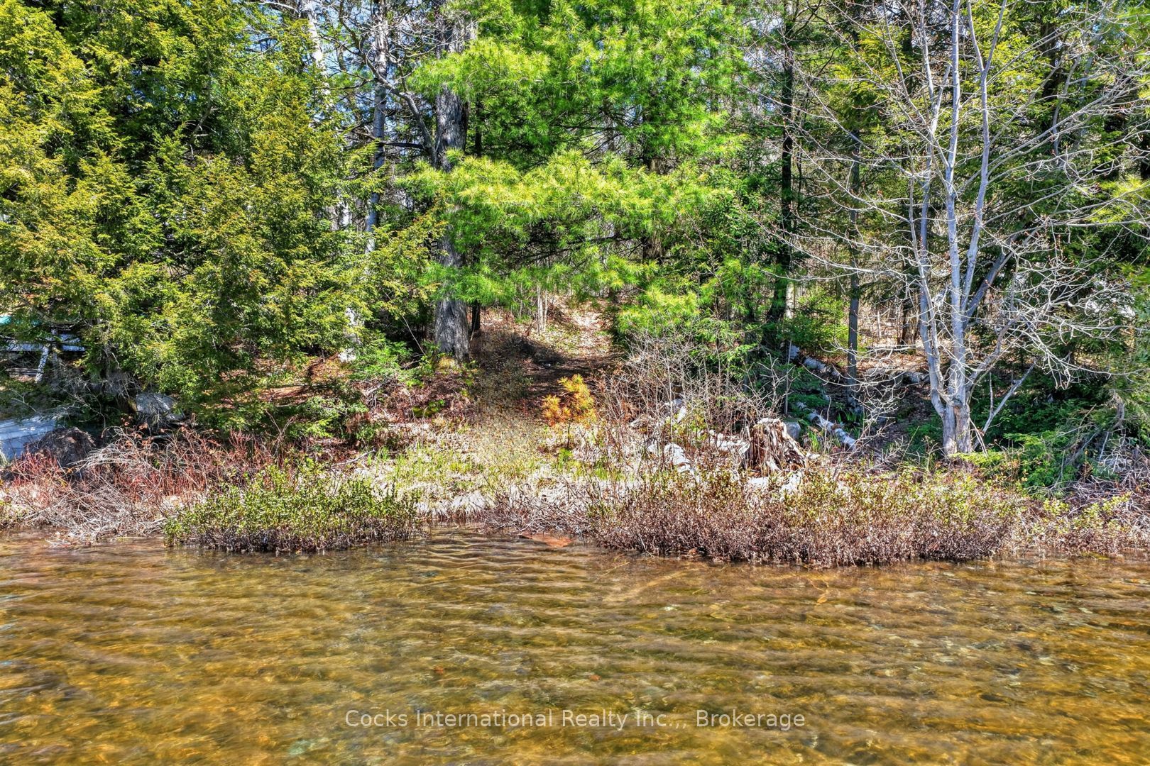 1165 Spring Lake Road Property Photo 3